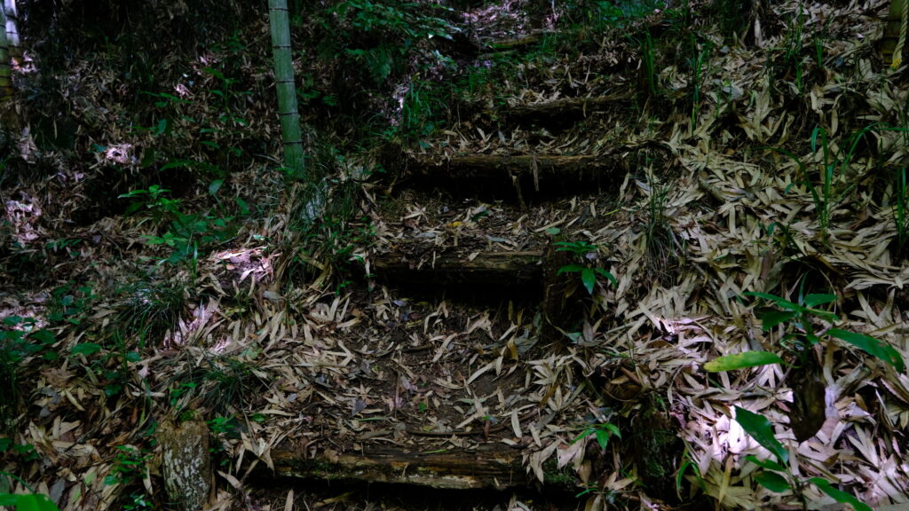 坪渕の滝 階段