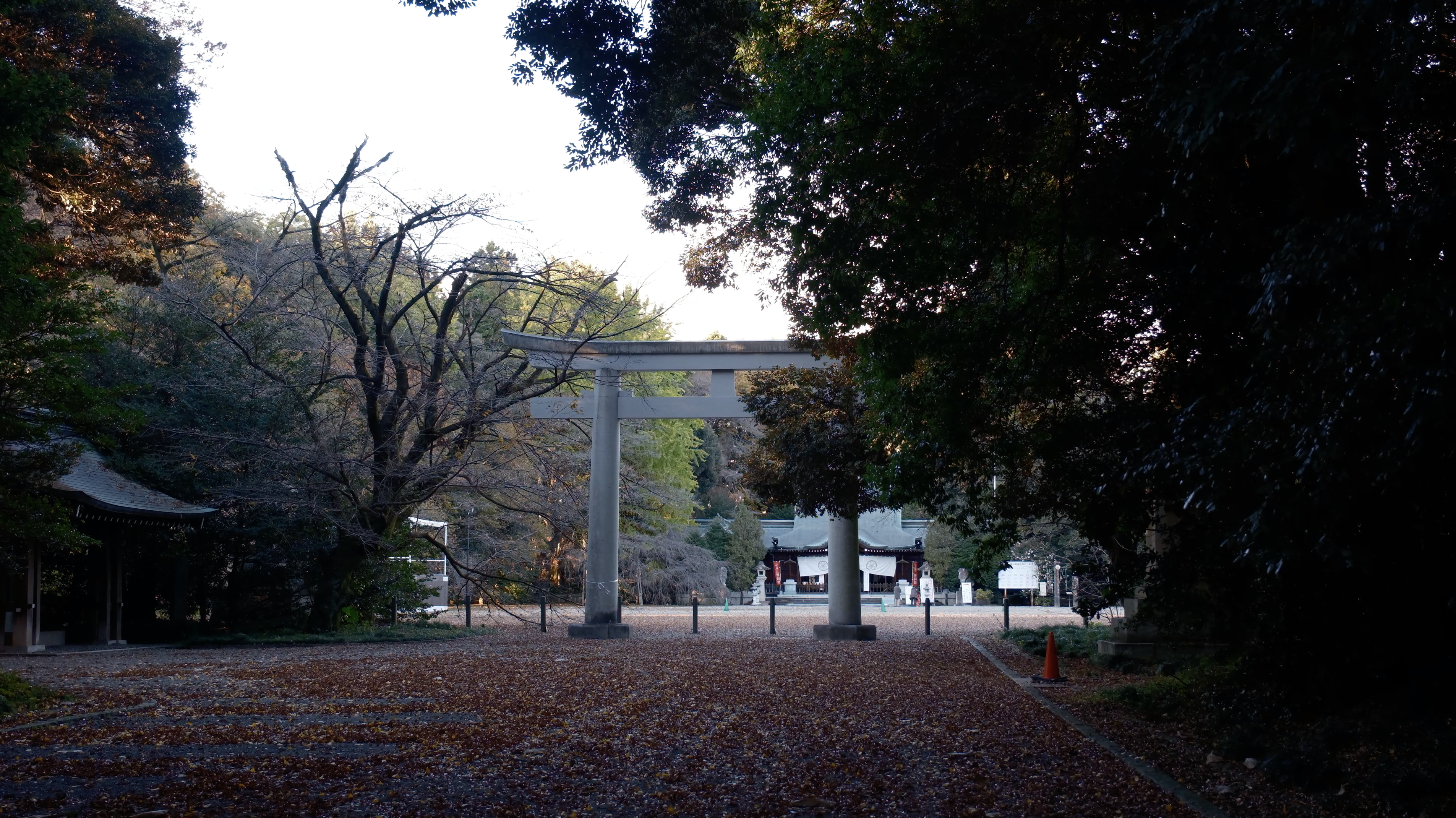 栃木県護国神社 社殿前庭 鳥居
