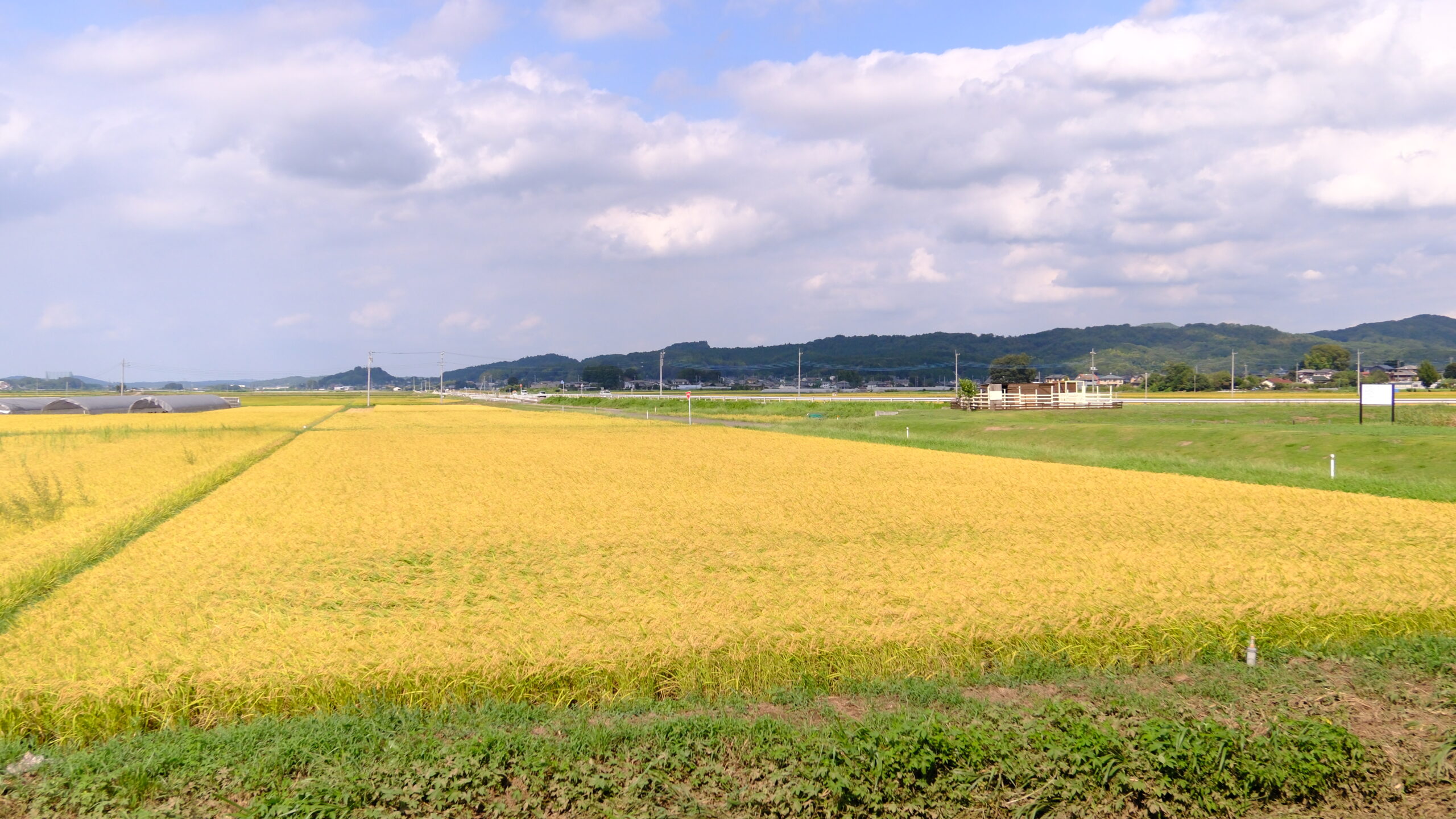 道の駅ましこ　田園風景