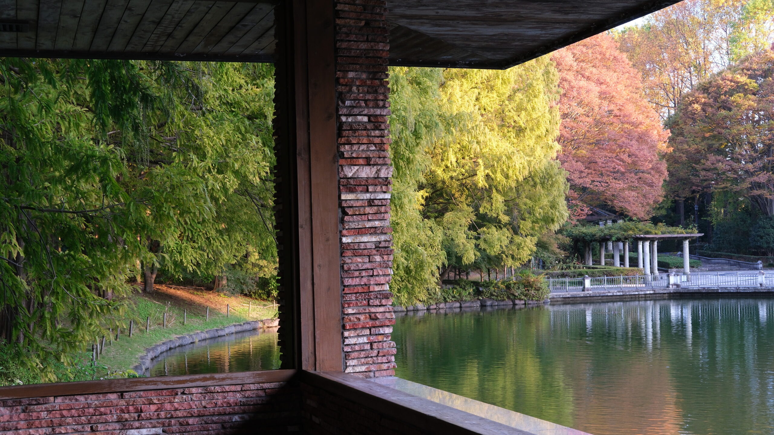 栃木県中央公園 レストハウスからの景色