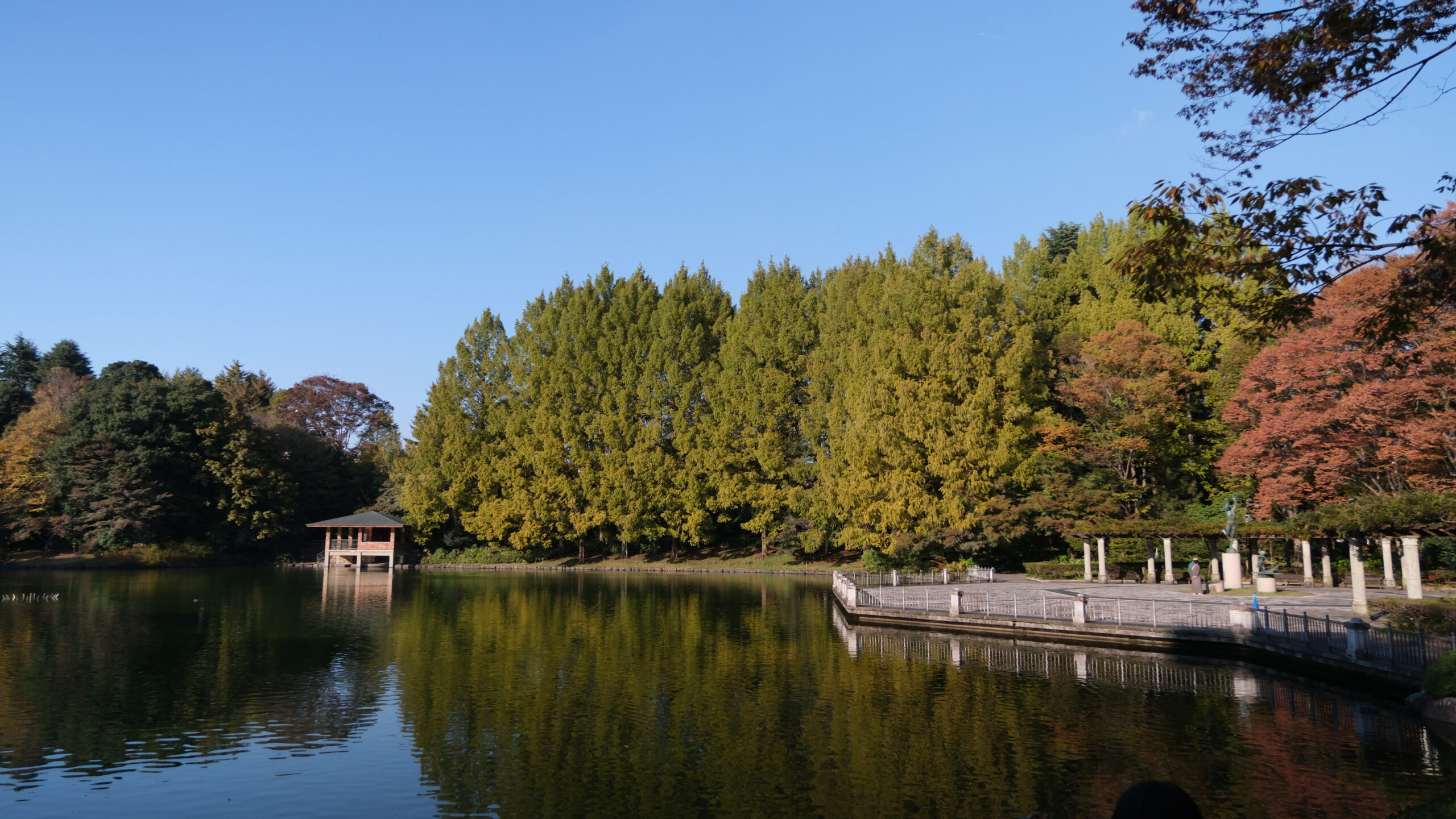 栃木県中央公園 昭和大池