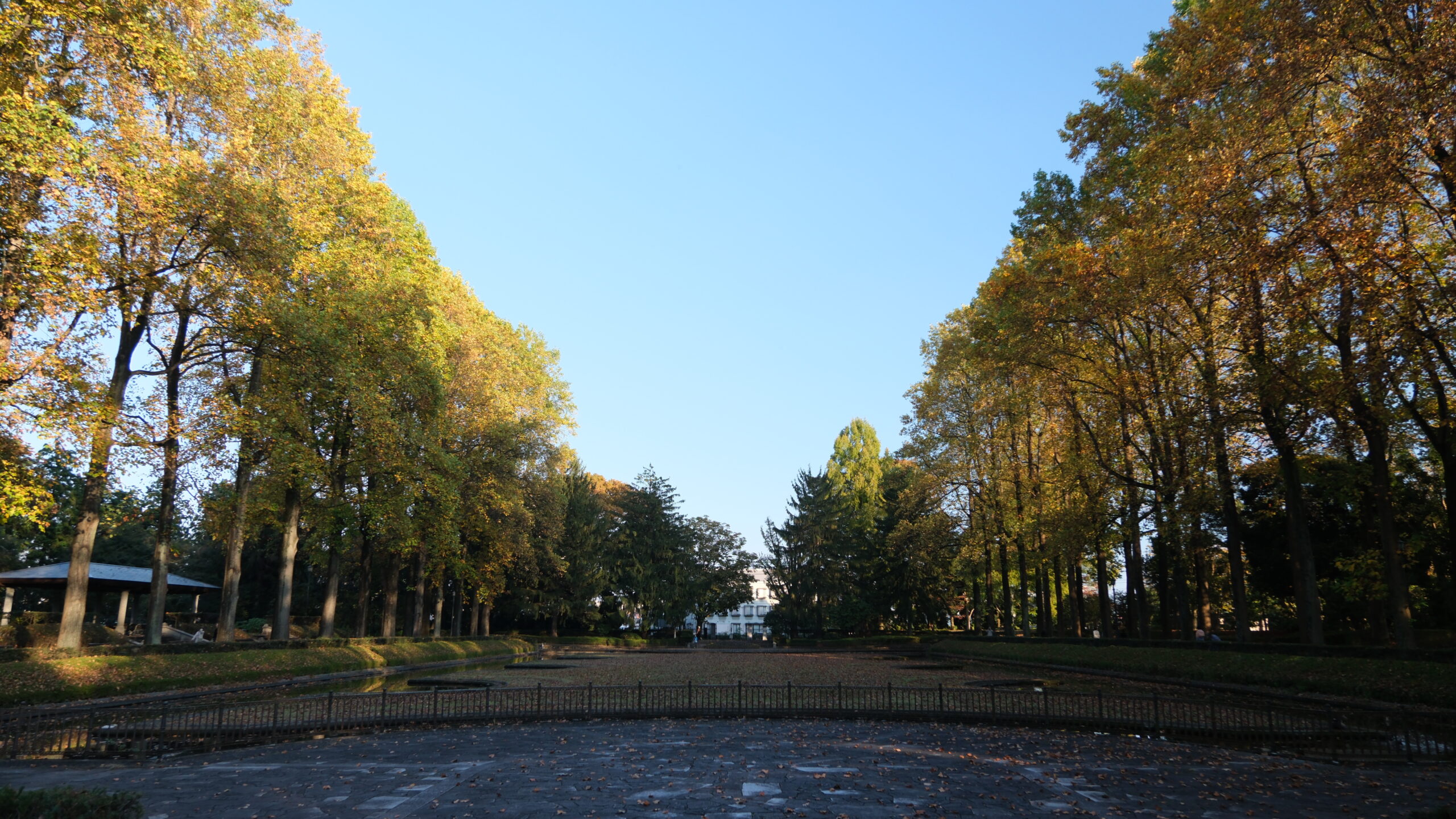 栃木県中央公園 西テラスからの写真