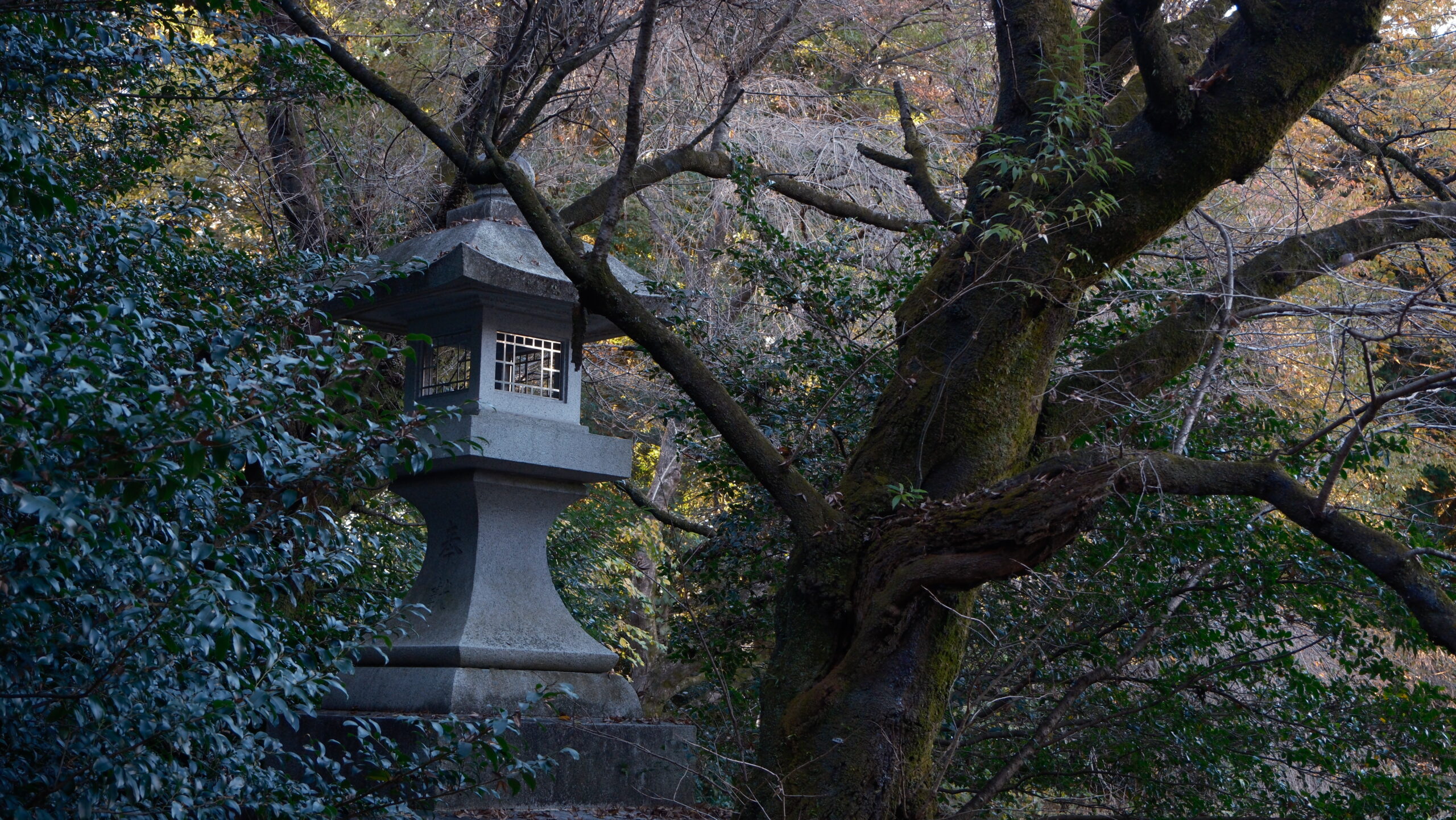 栃木県護国神社 灯篭