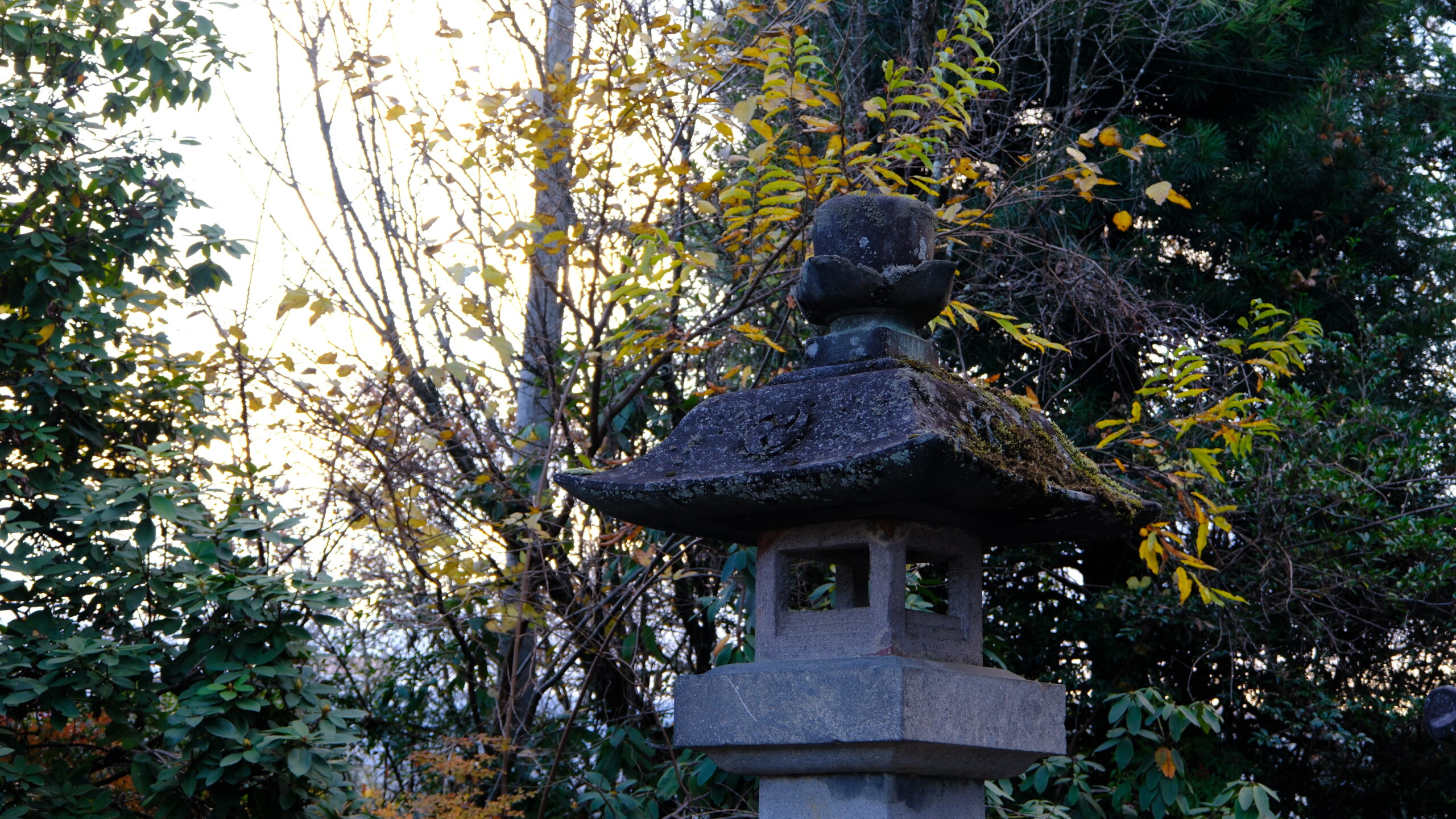 瀧尾神社 灯篭