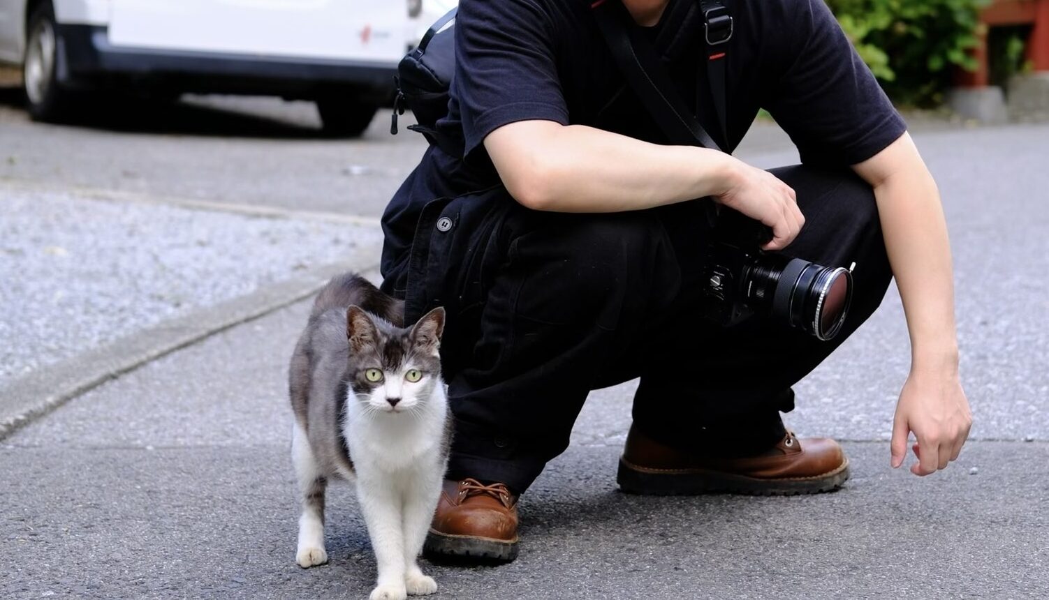 多気山不動尊 ねこ