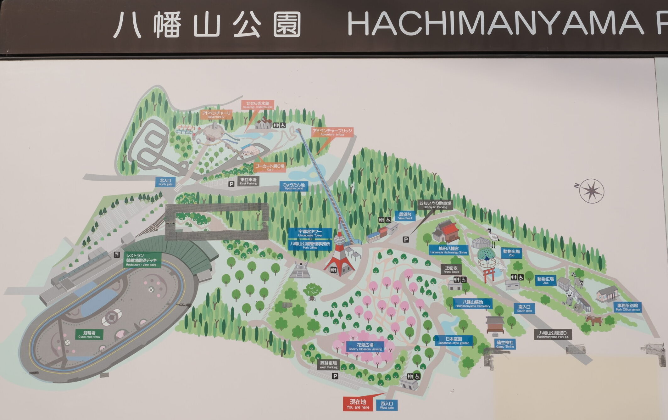 八幡山公園　マップ