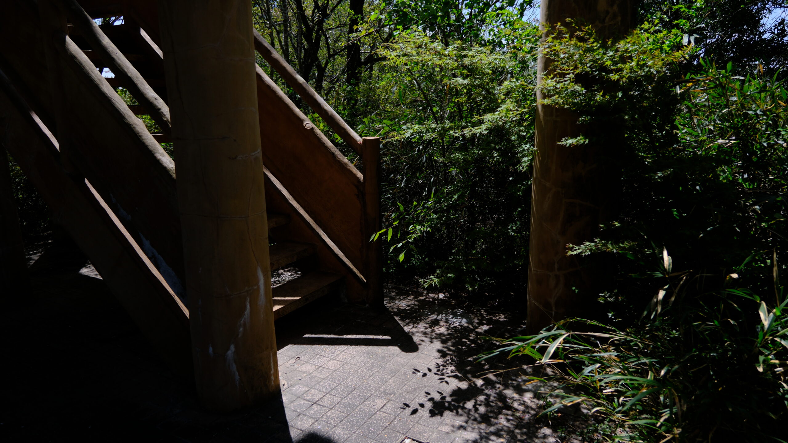展望台　記念樹の森　階段