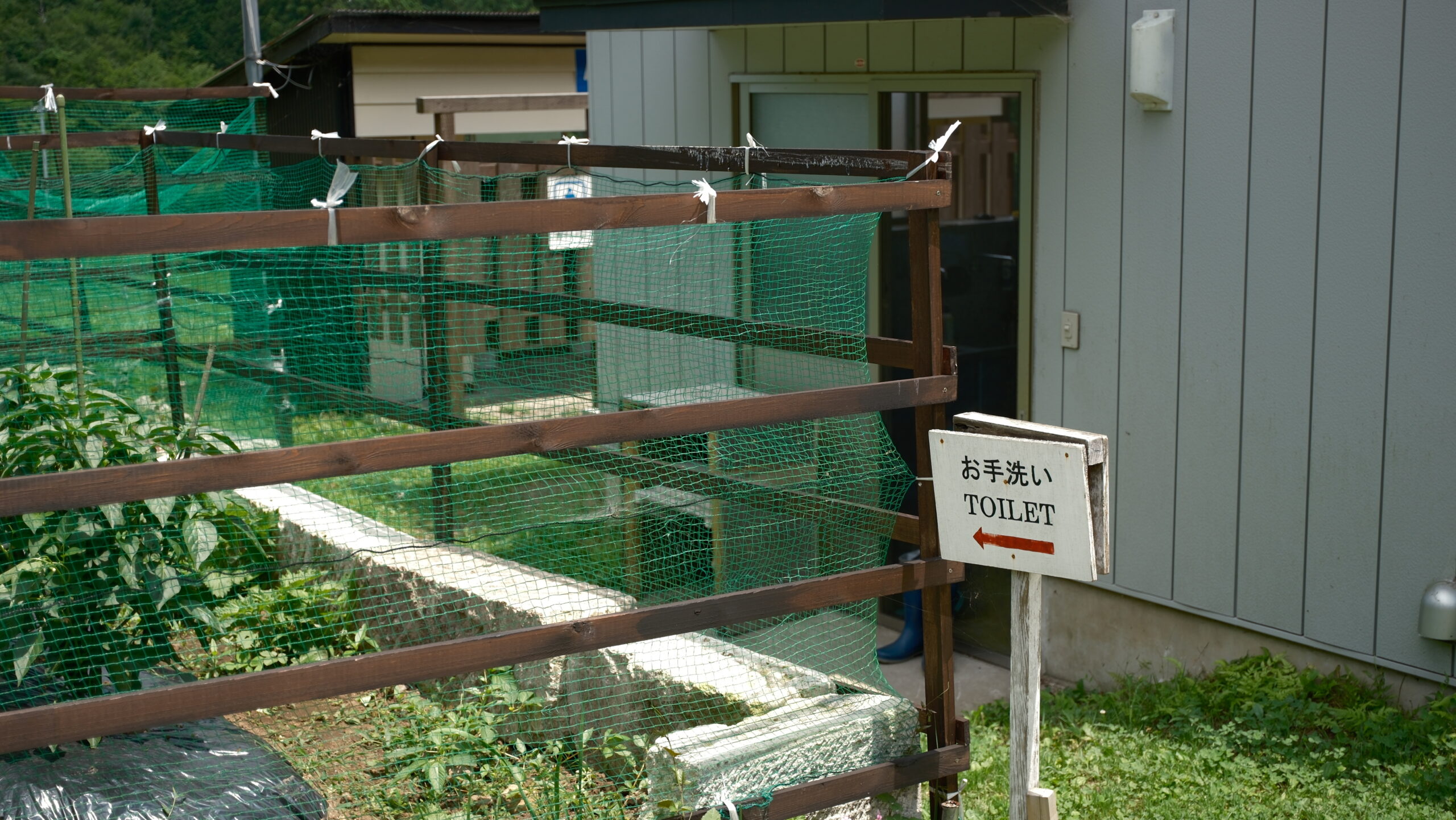 金精川のます池 お手洗い