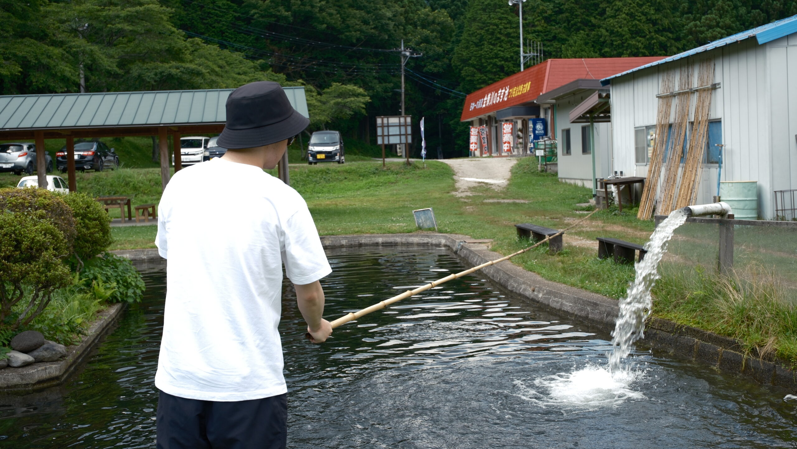 金精川のます池 アルビノニジマスを狙う