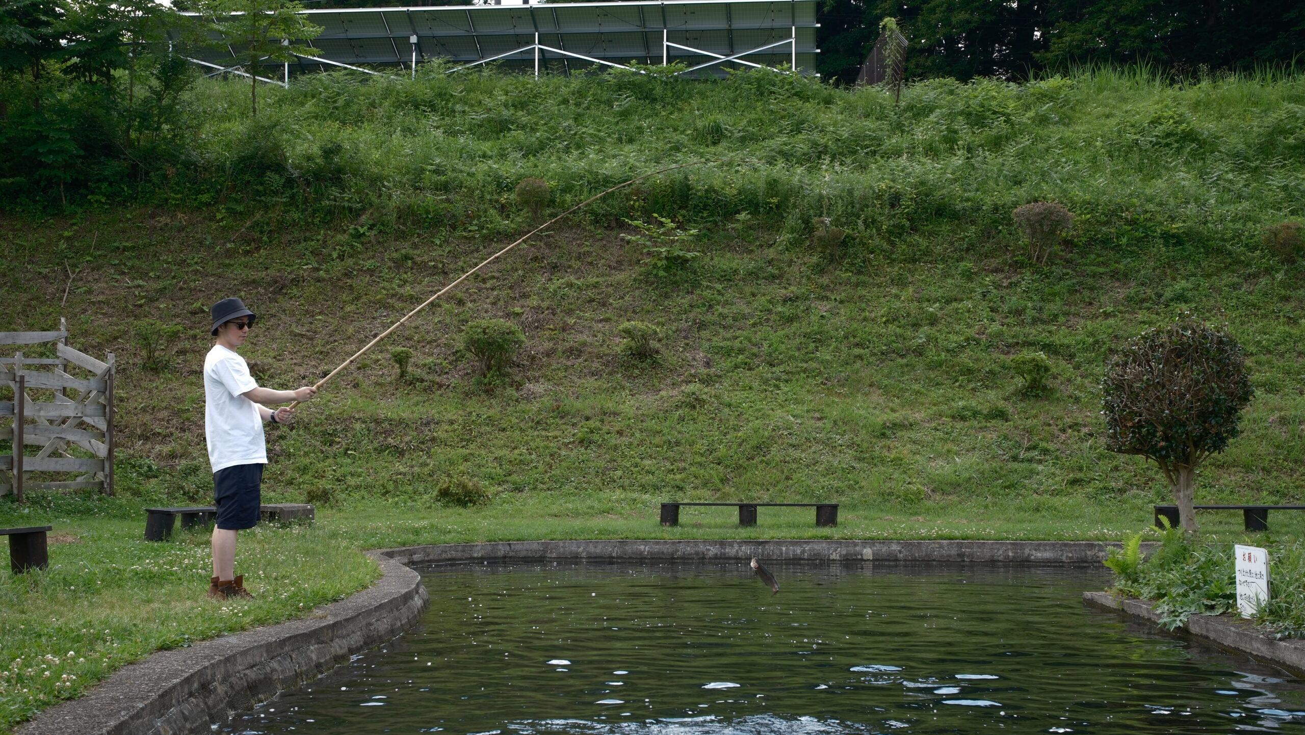 金精川のます池 釣り