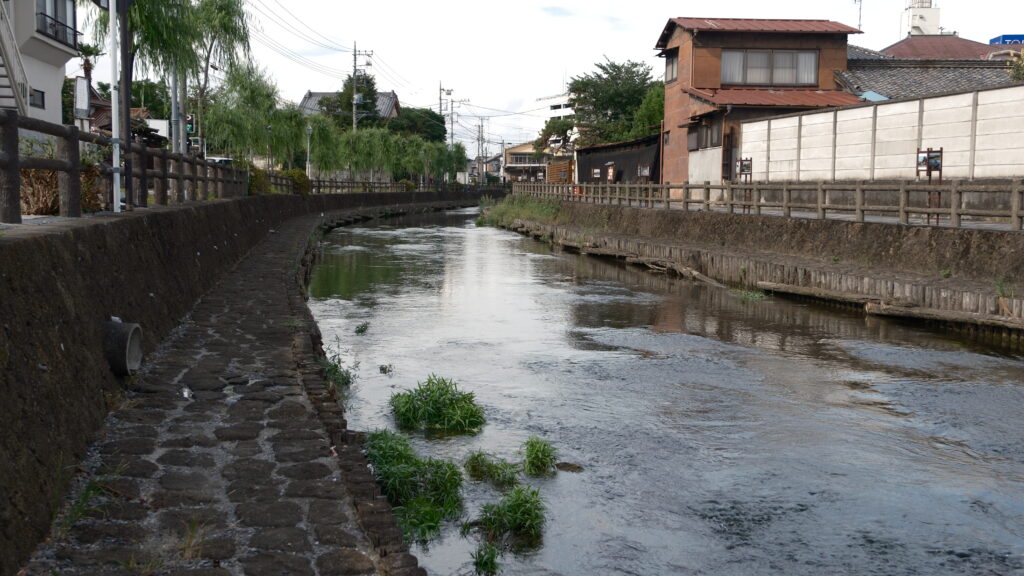 巴波川の様子