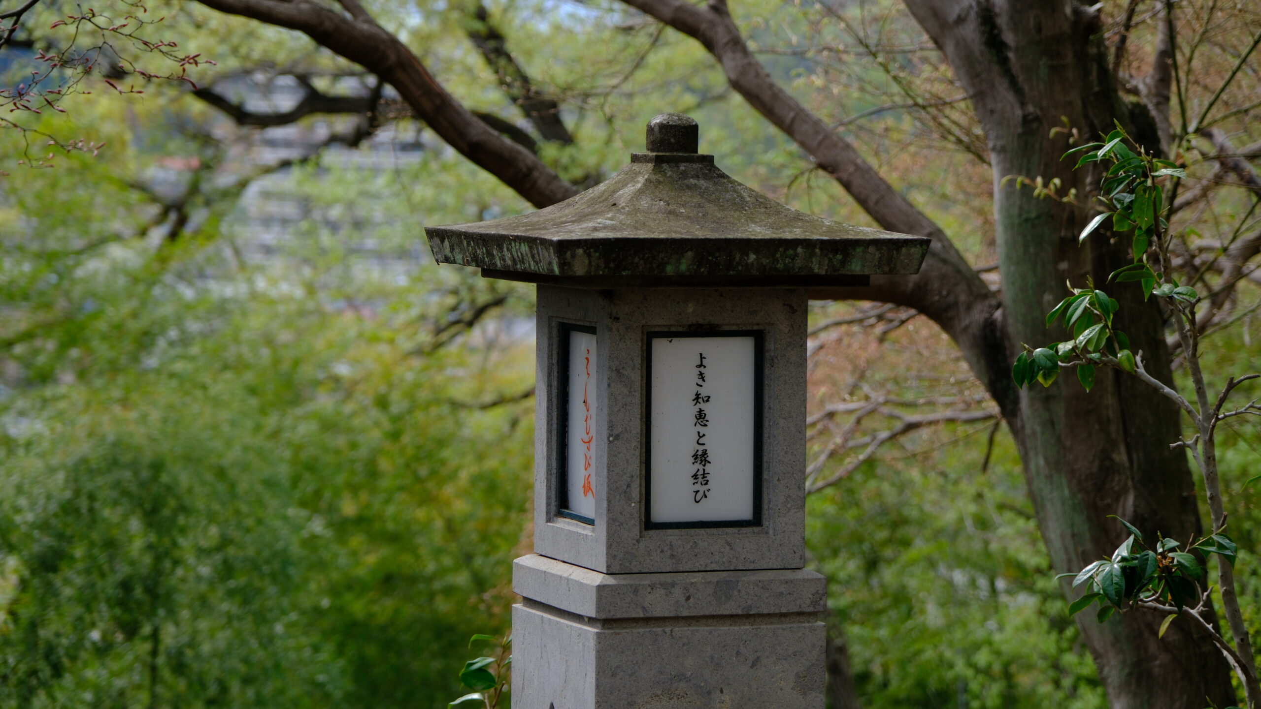 足利織姫神社　灯篭