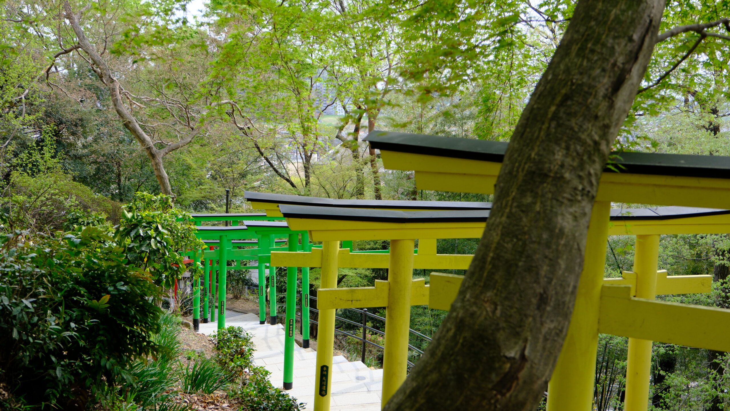 足利織姫神社　七色鳥居