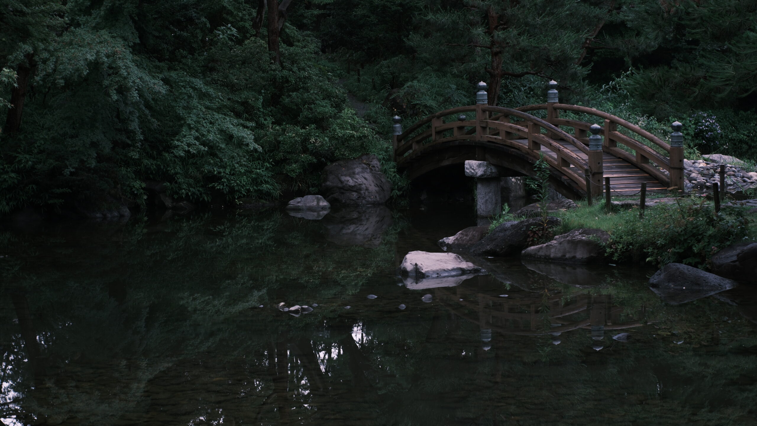 栃木県中央公園 日本庭園