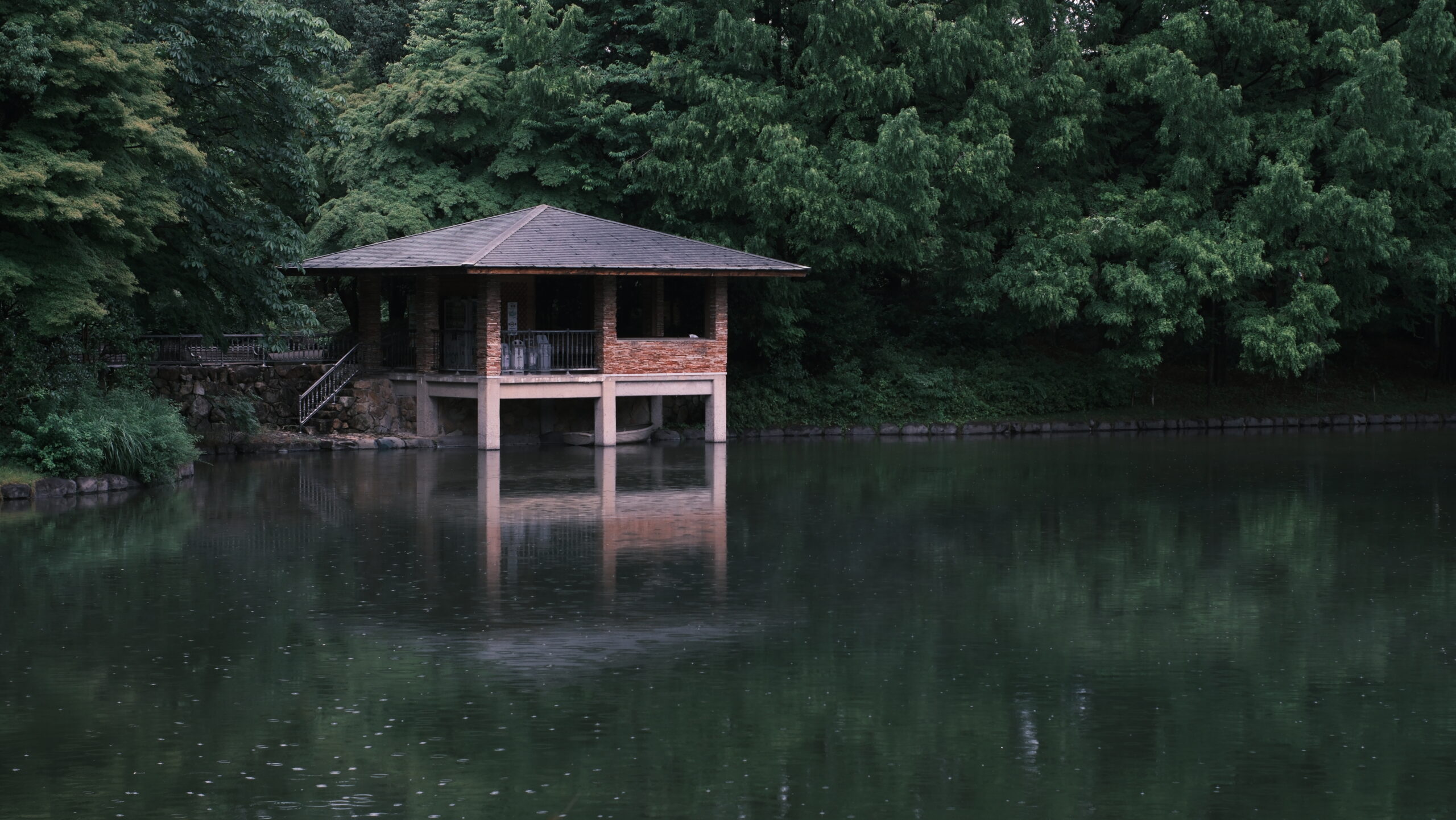 栃木県中央公園 梅雨の大池