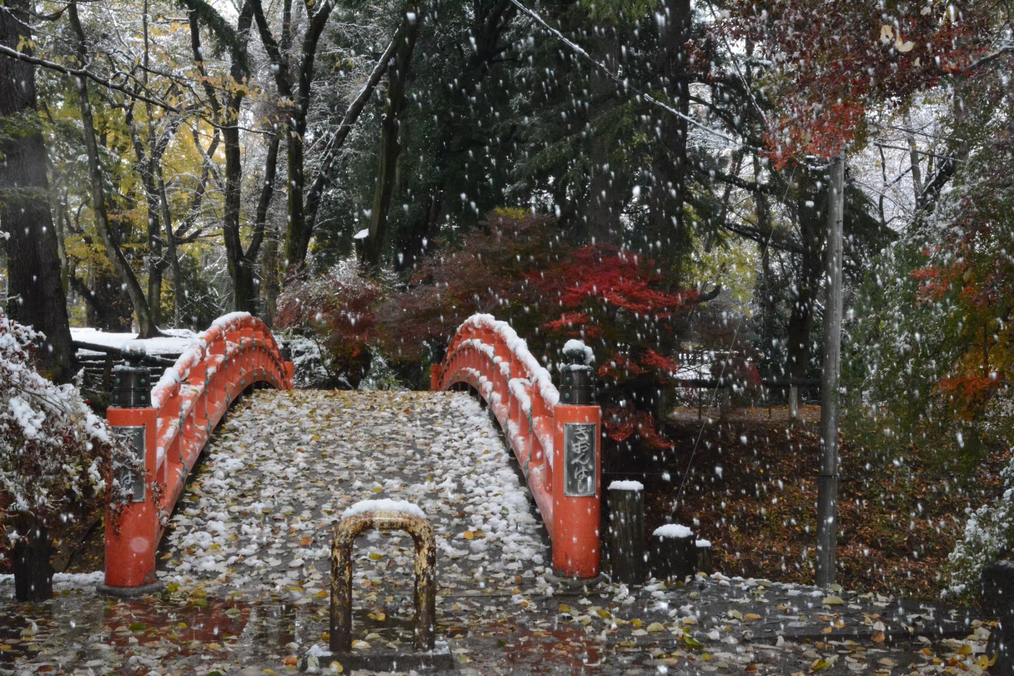 ぎおんばし　城山公園