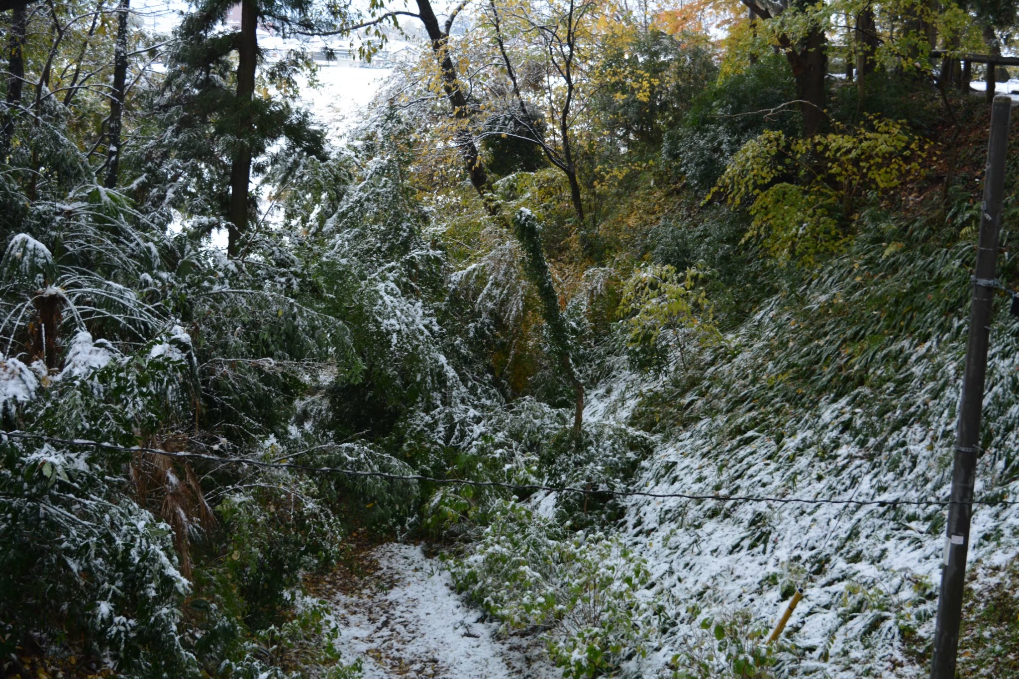 城山公園　小山市　堀