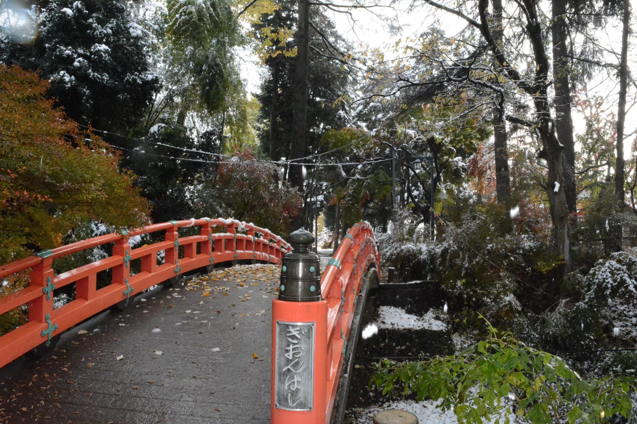 城山公園　橋　小山