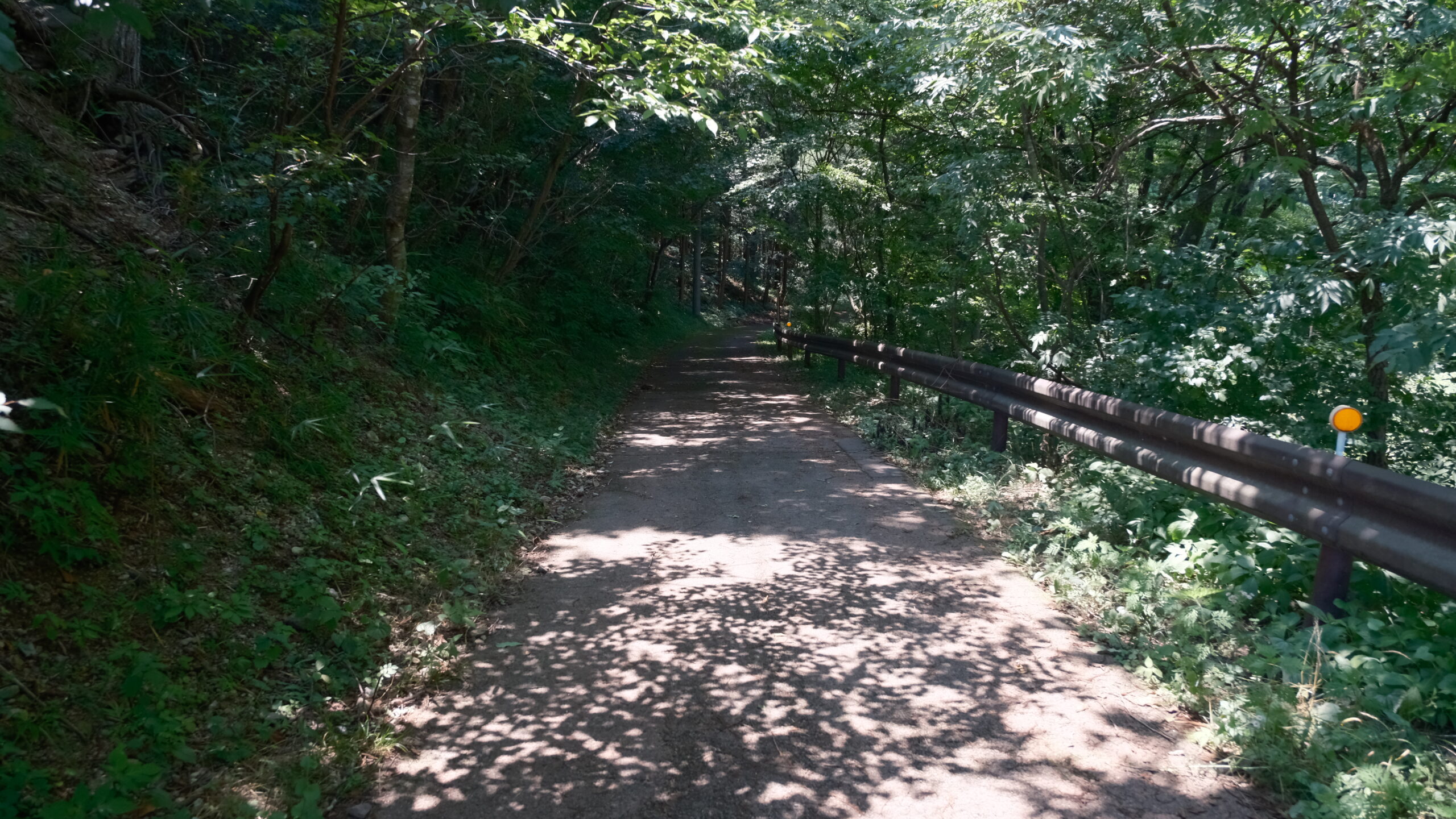 那須疏水公園 道