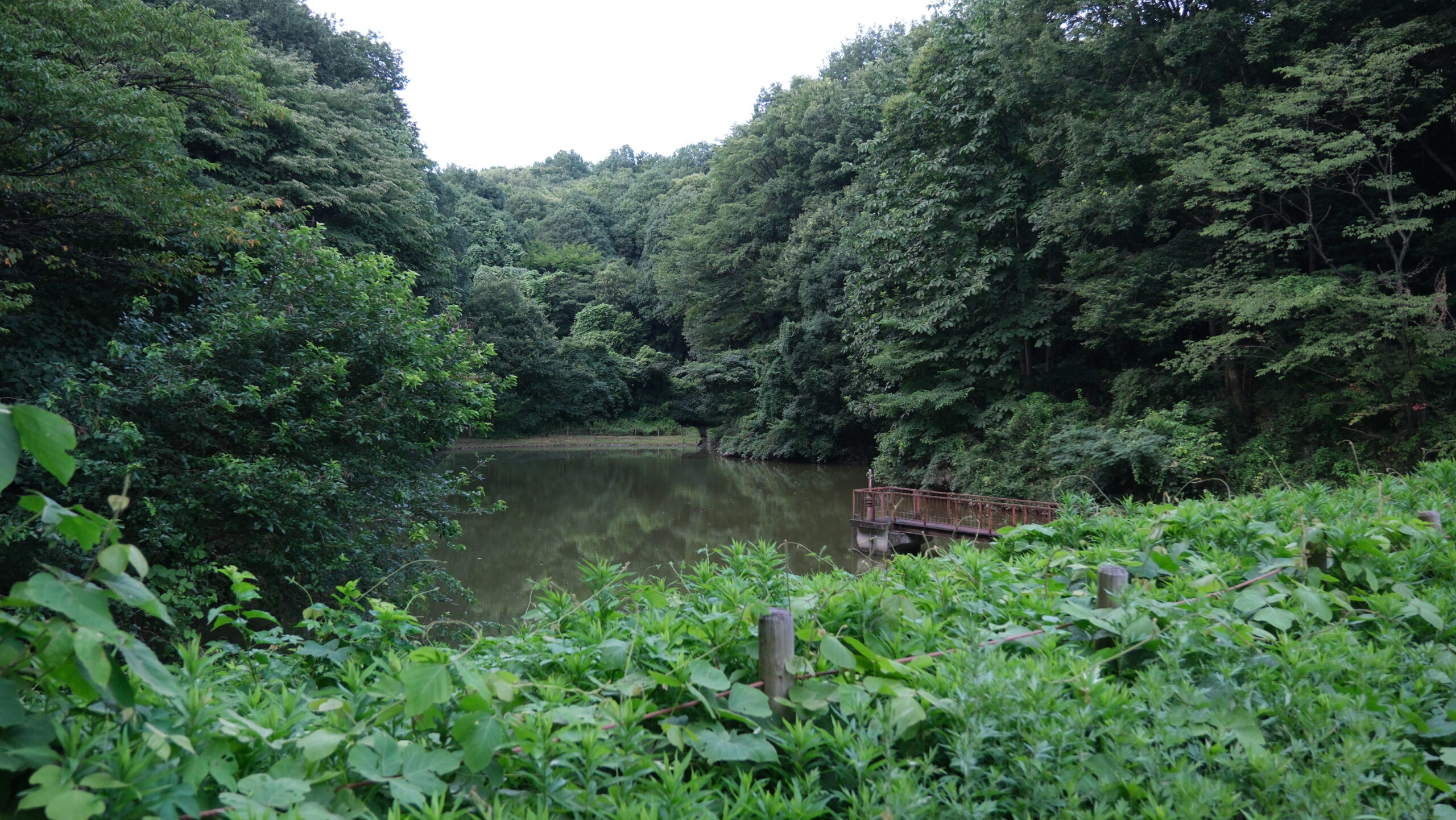 調整池　うつのみや文化の森