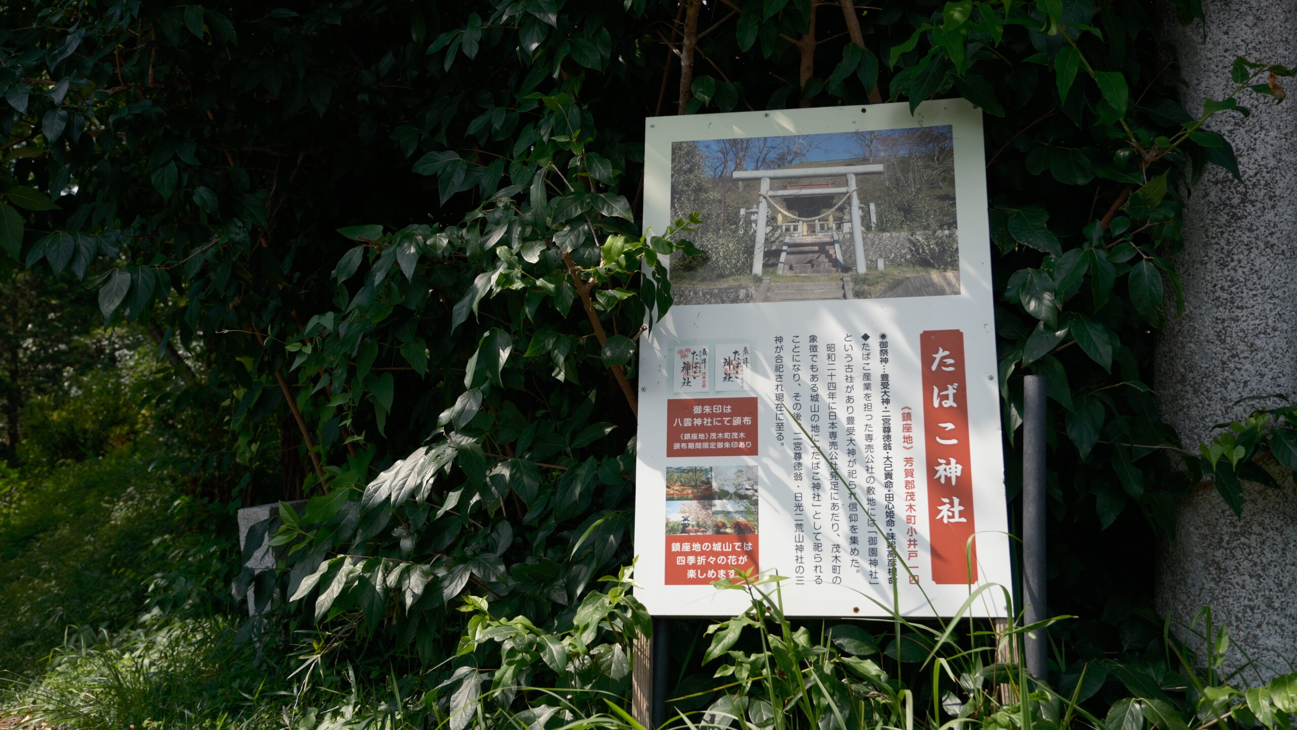 たばこ神社　看板