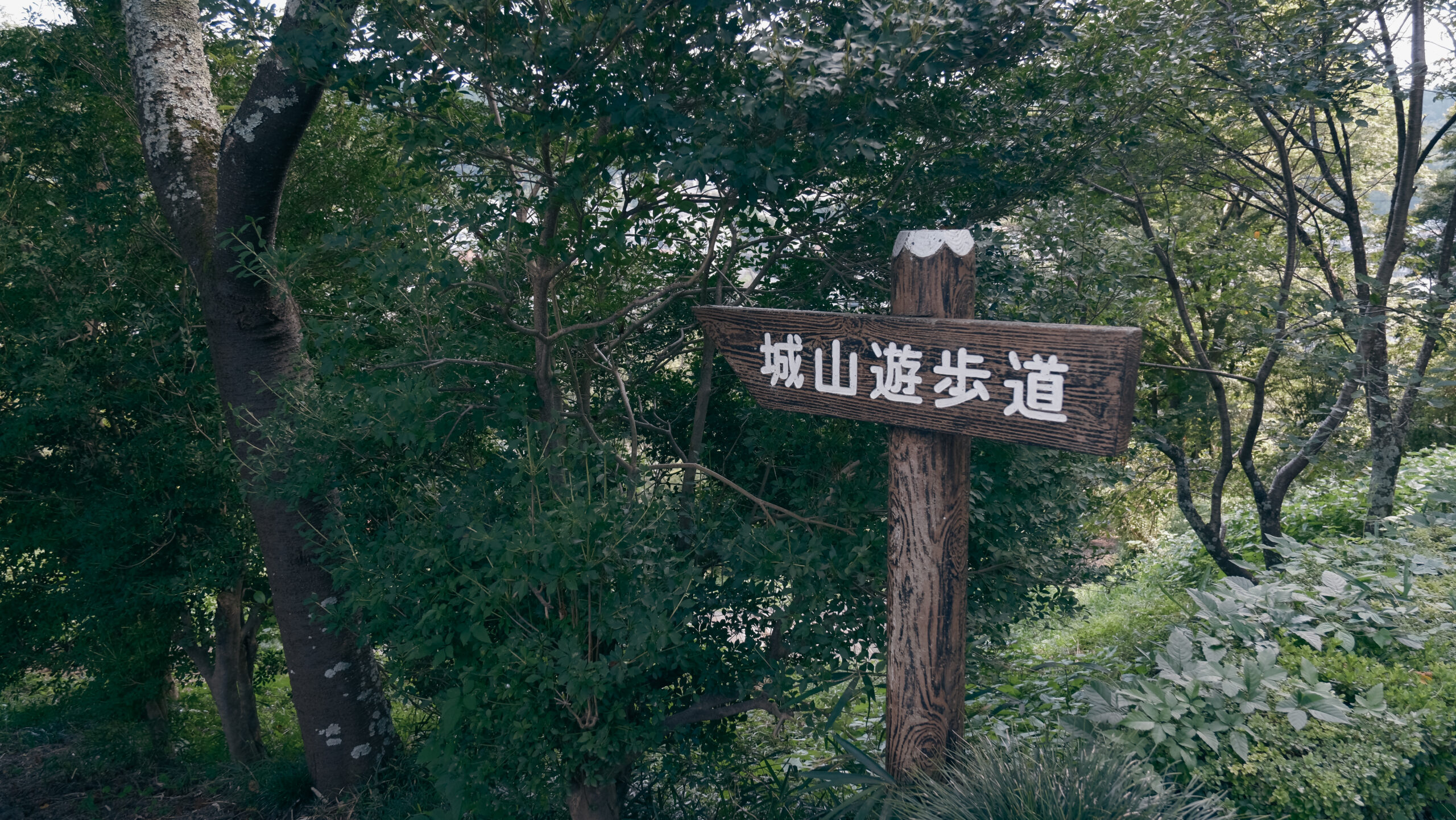 城山公園　茂木町　城山遊歩道