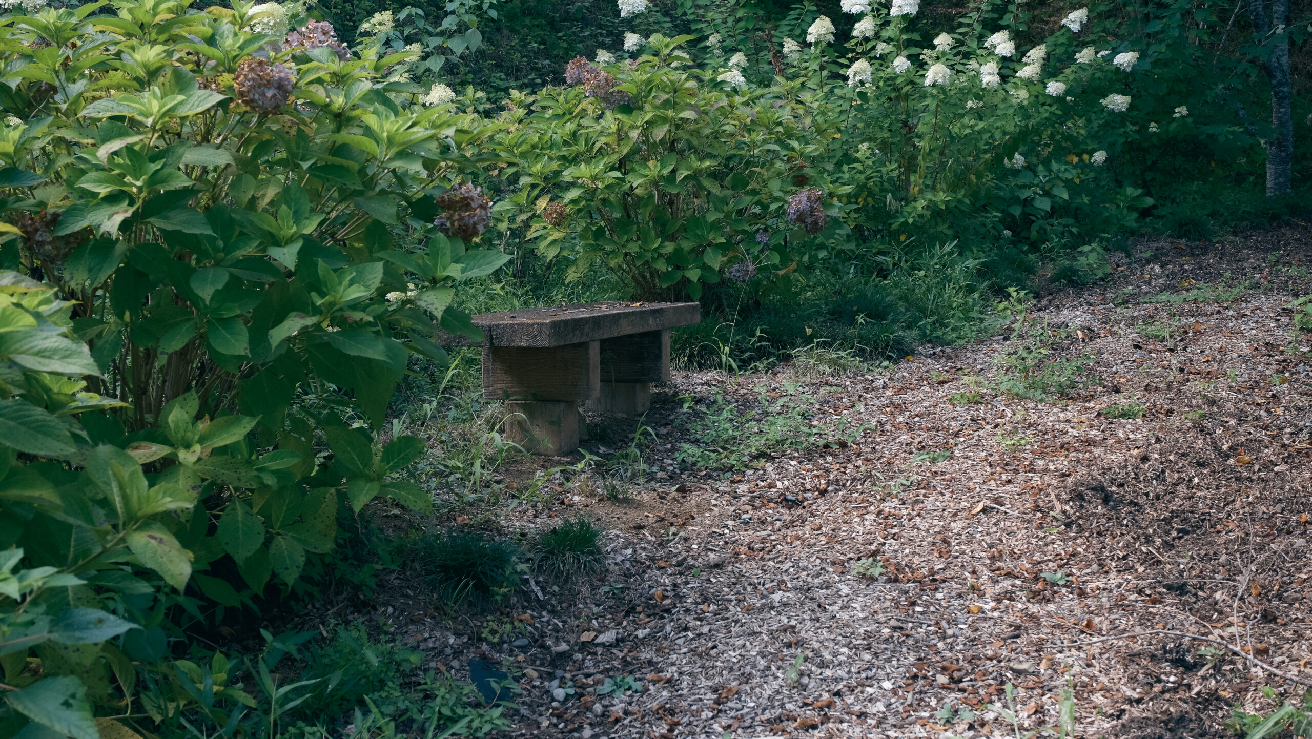 城山公園　茂木町　ベンチ