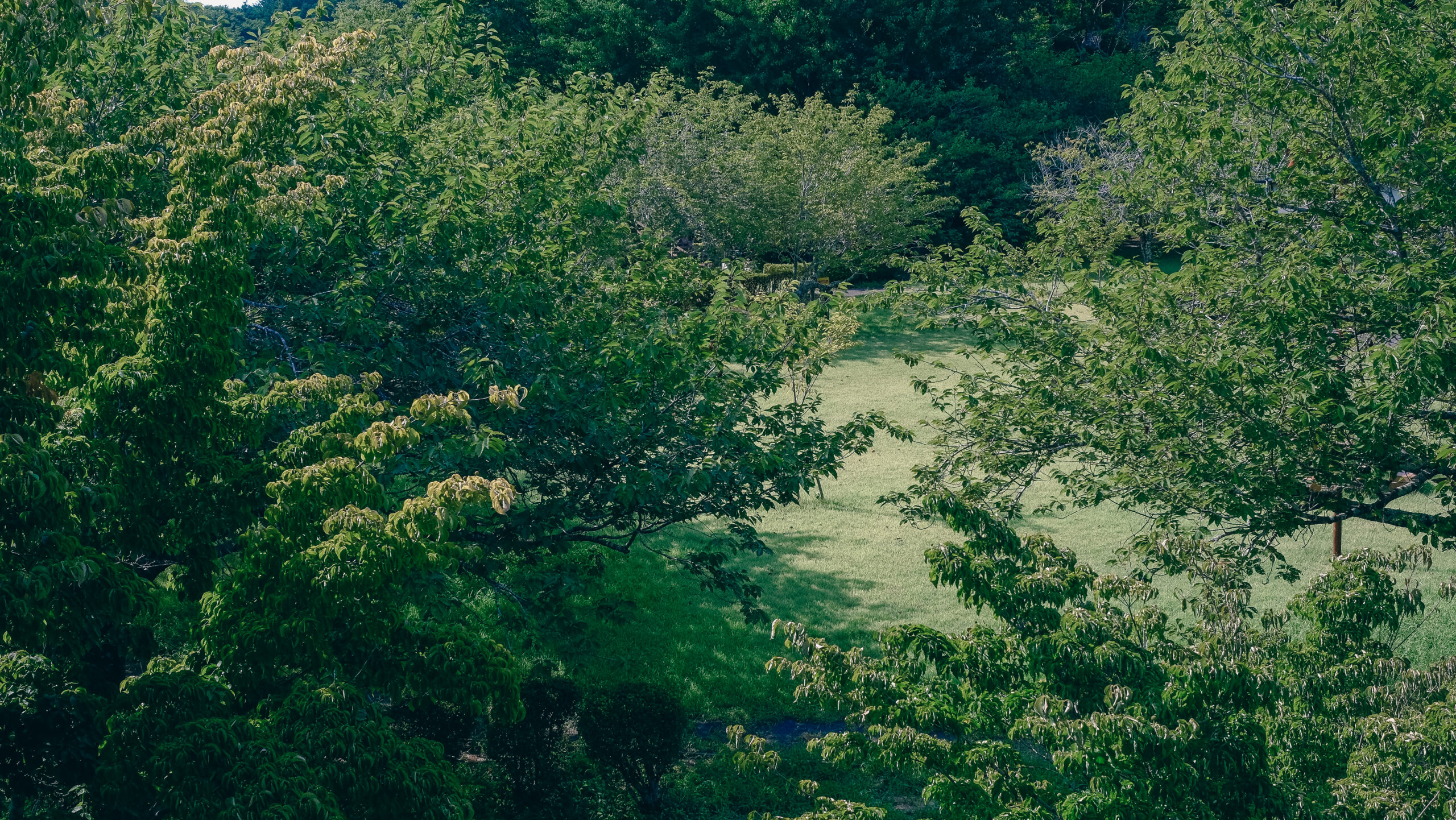 姫の望楼　城山公園