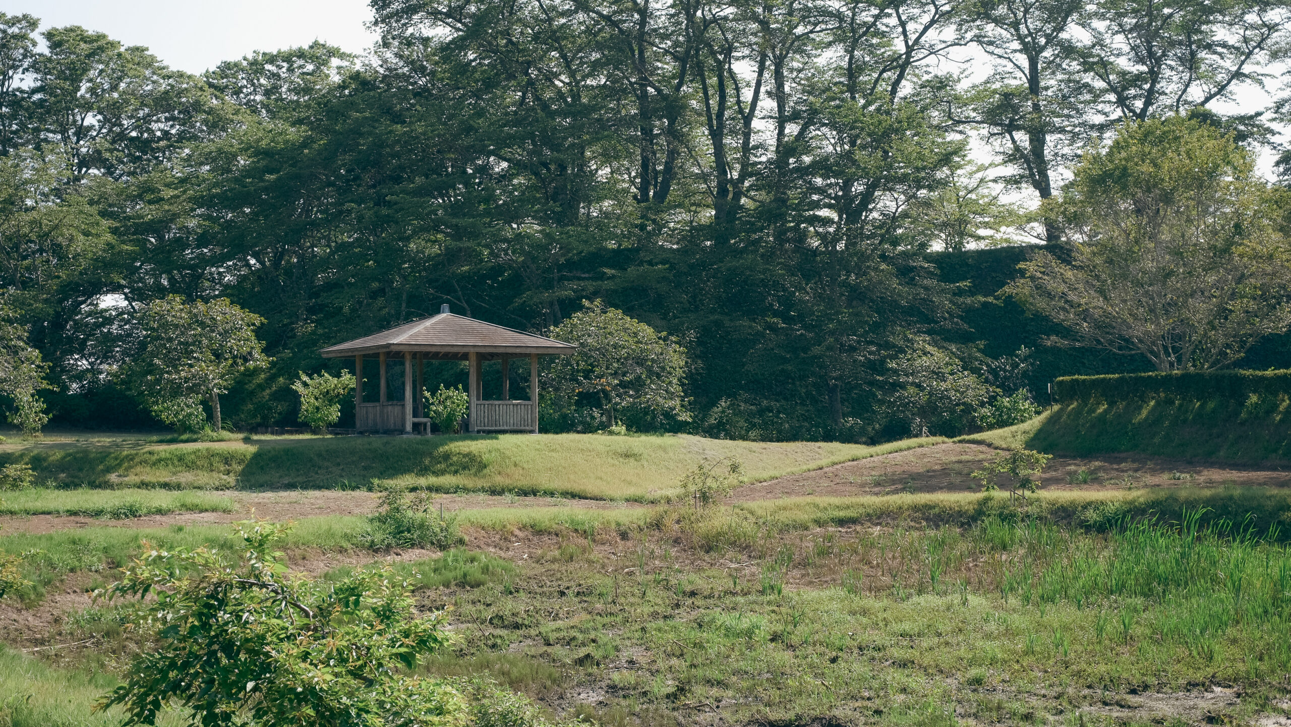 城山公園　茂木町　仙人溜