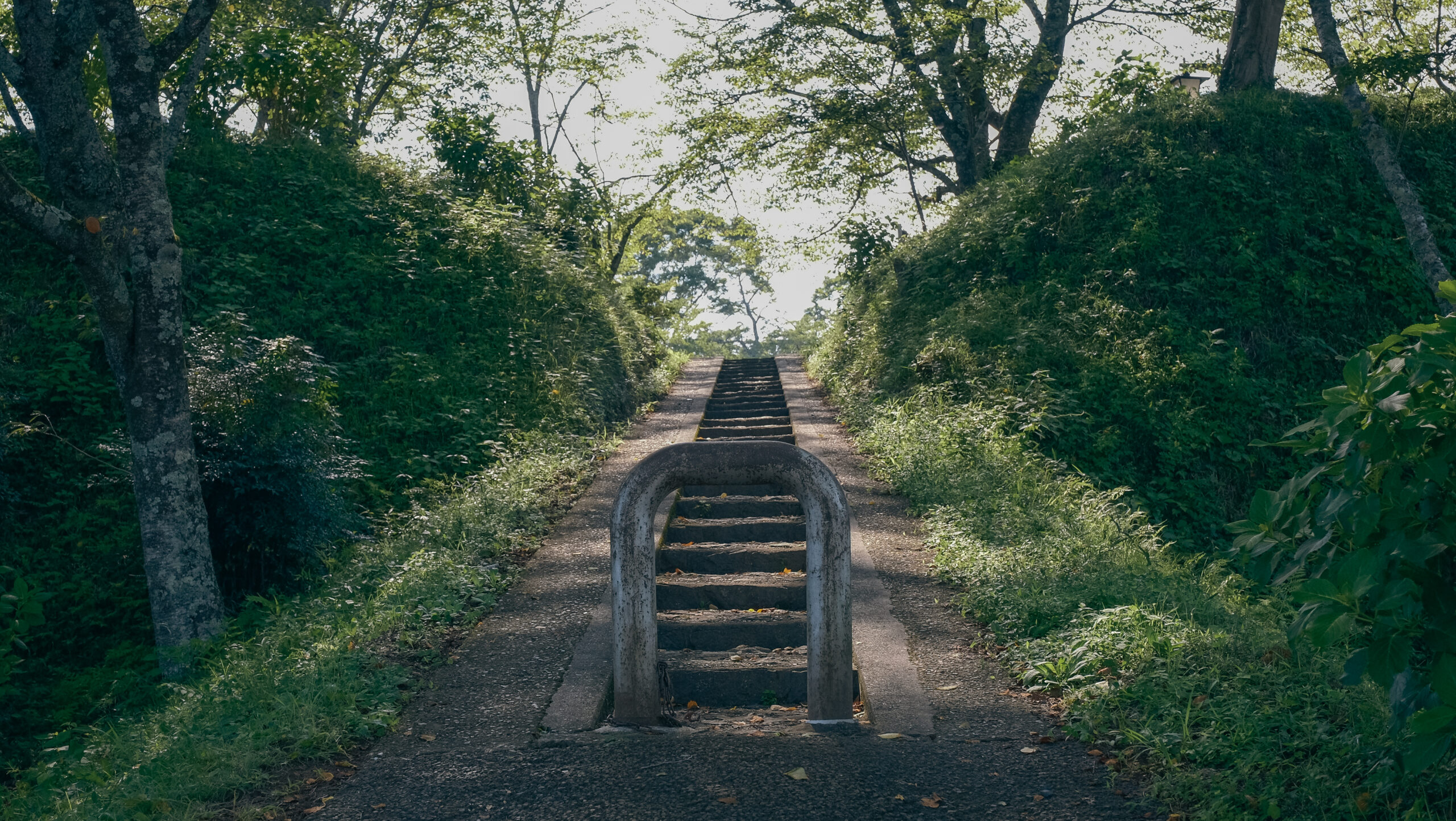 城山公園　茂木町　本丸への道