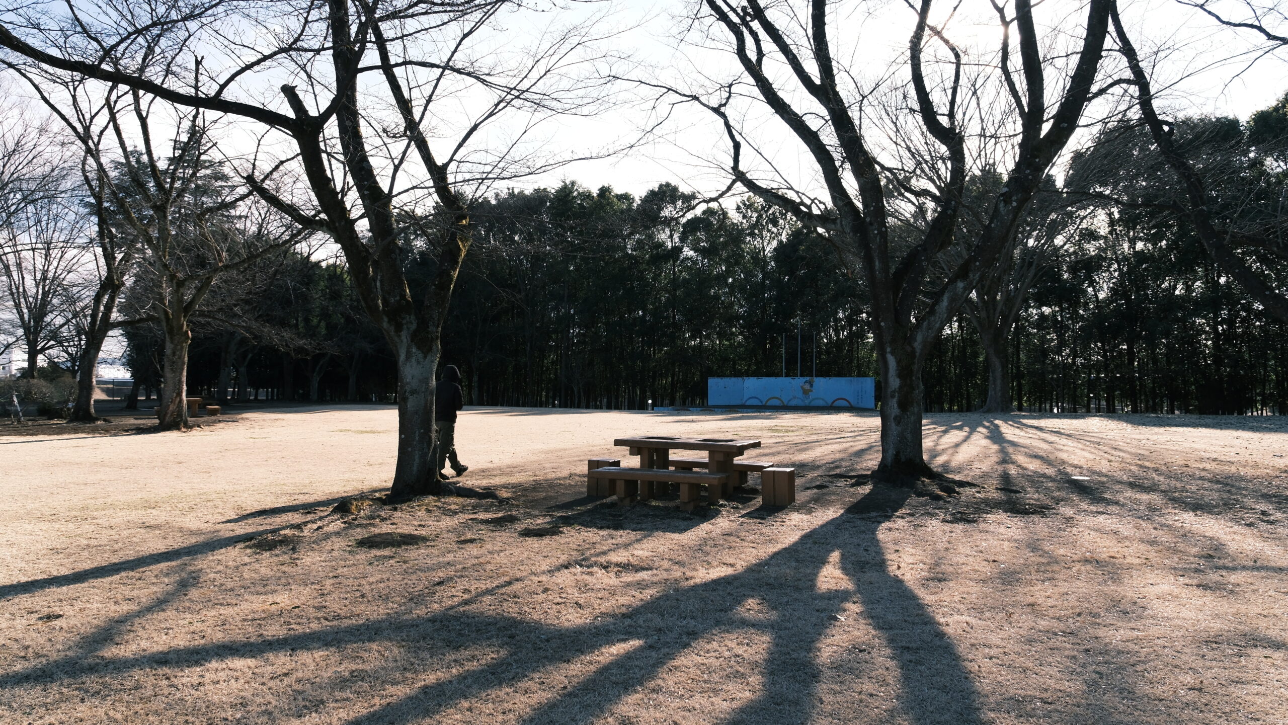 かしの森公園　みどりの広場