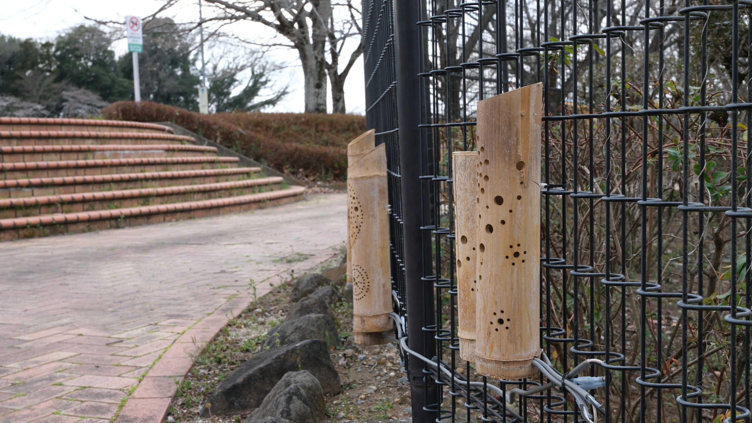 竹　工芸品　東雲公園