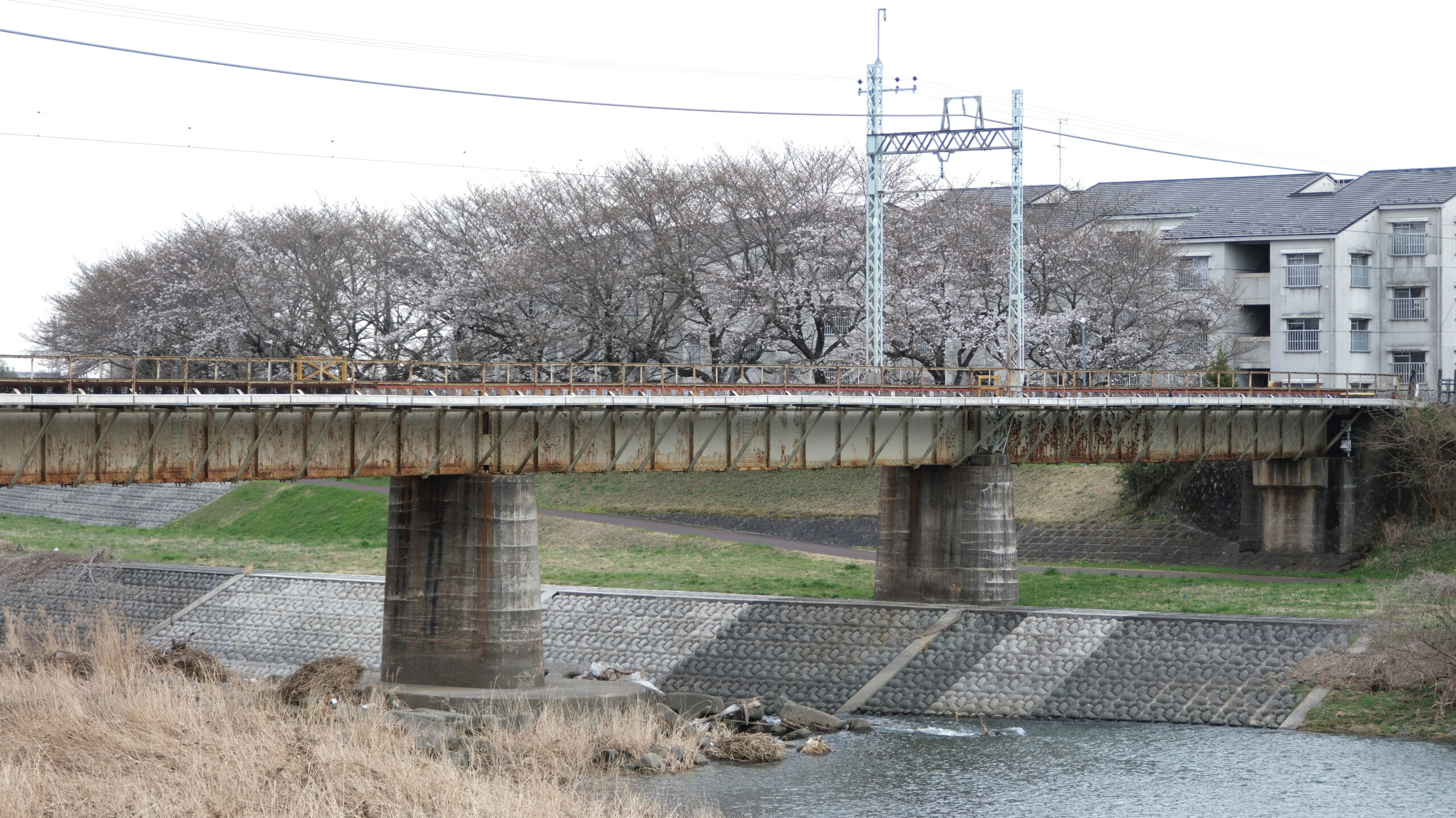 東雲さくら橋　東武宇都宮線