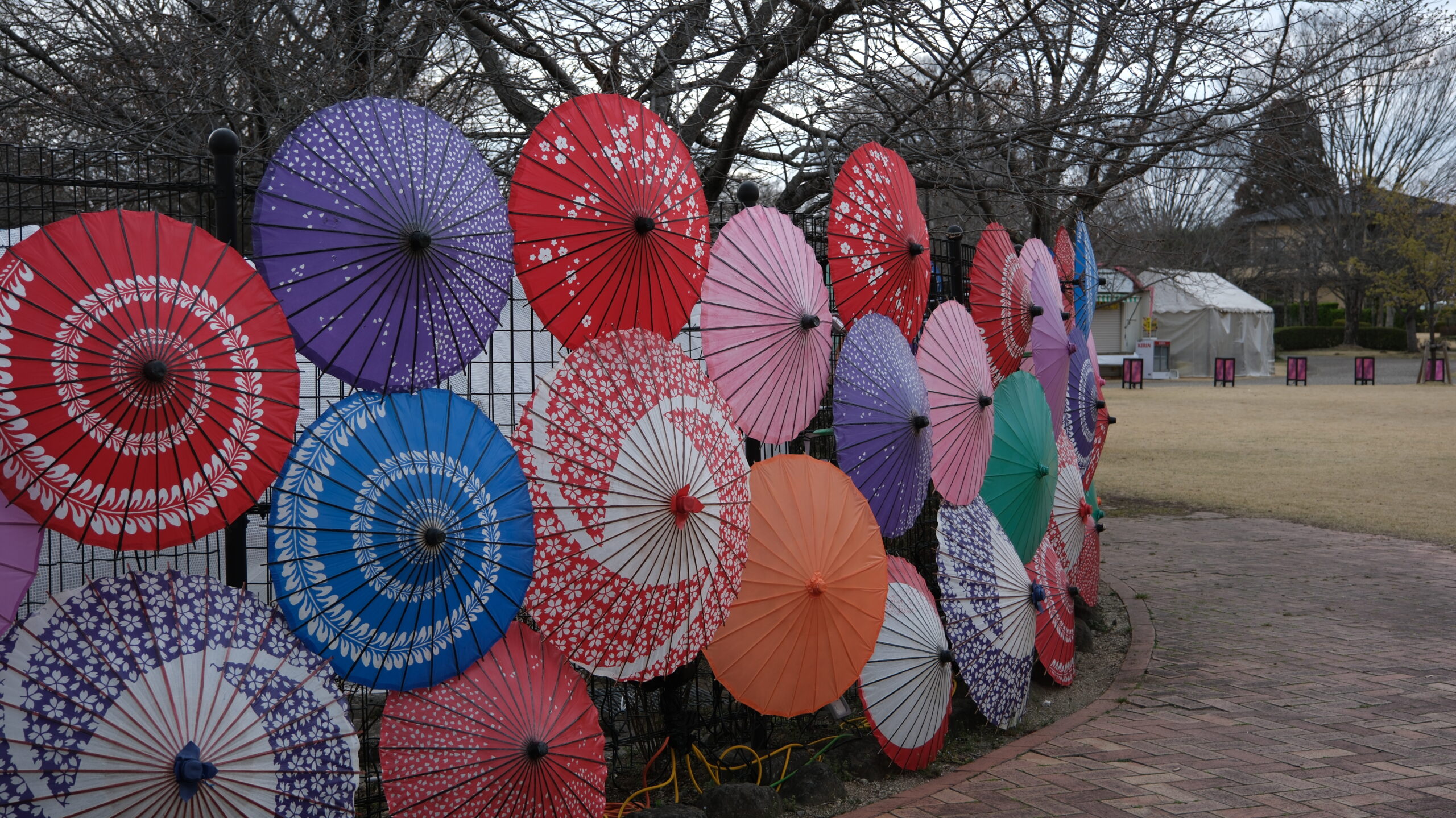 東雲公園　観光