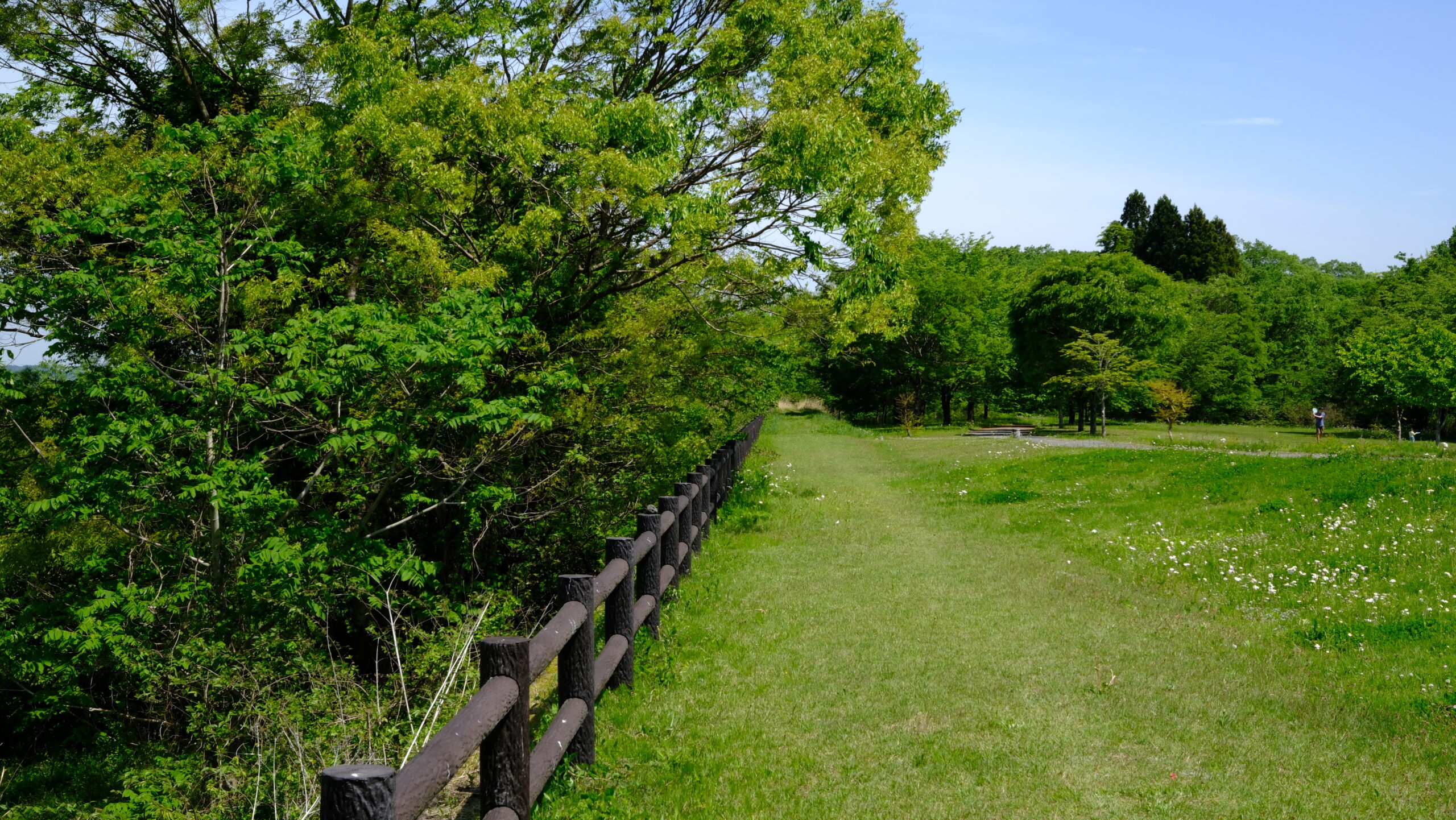 大谷川　日光だいや川公園　見晴らし台付近