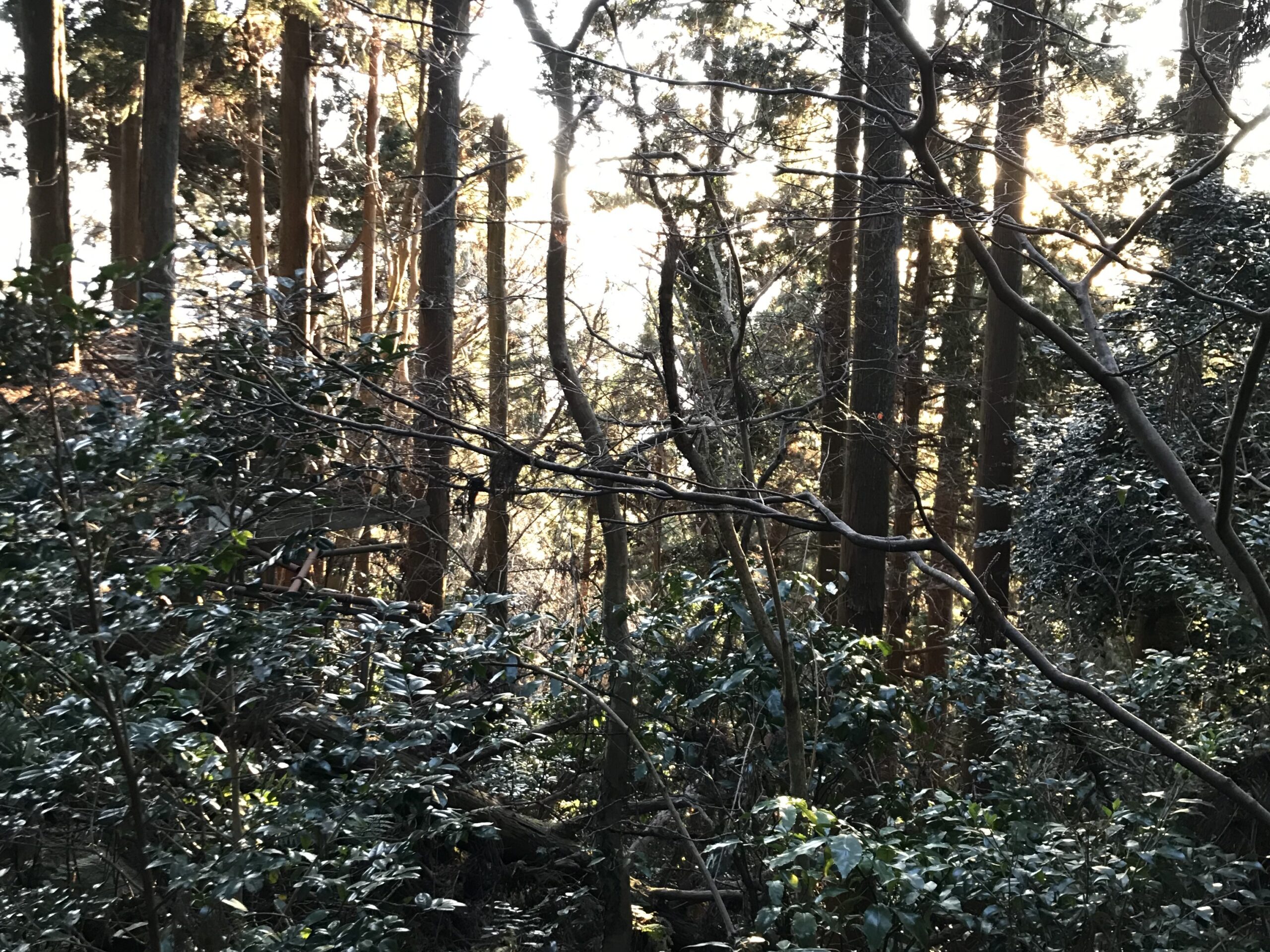 羽黒山神社　栃木　山道