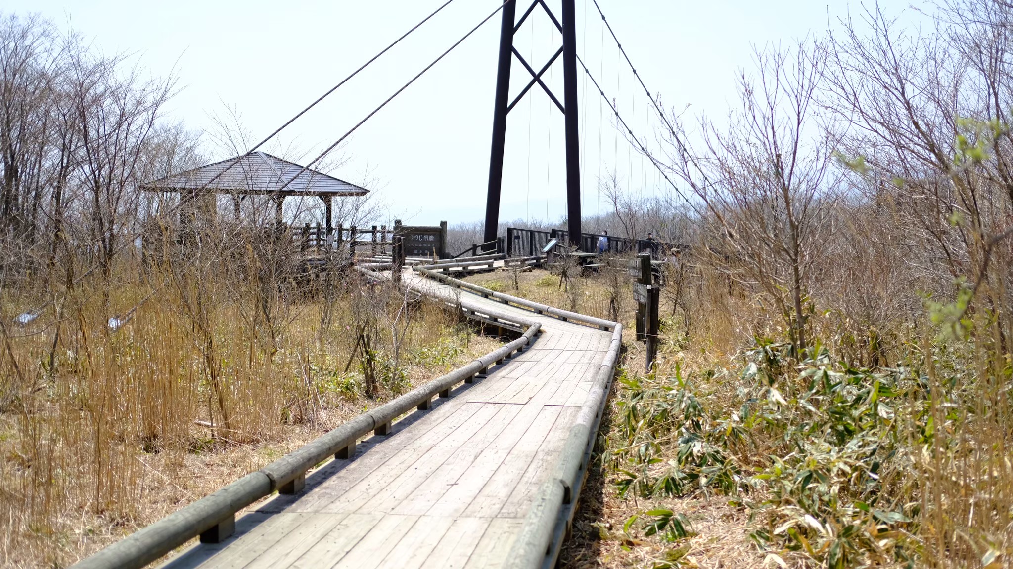 つつじ吊り橋　看板