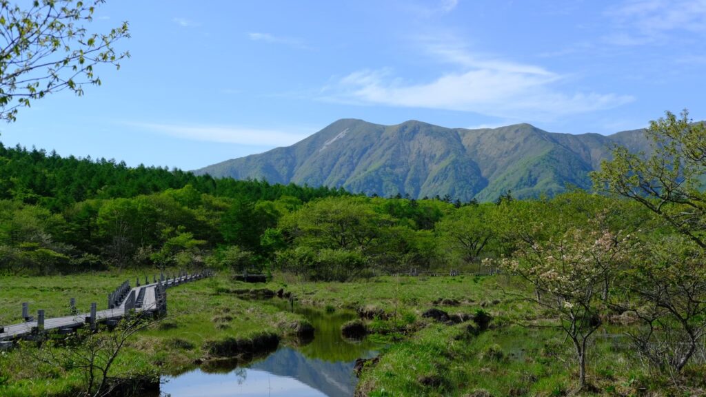 沼ッ原湿原