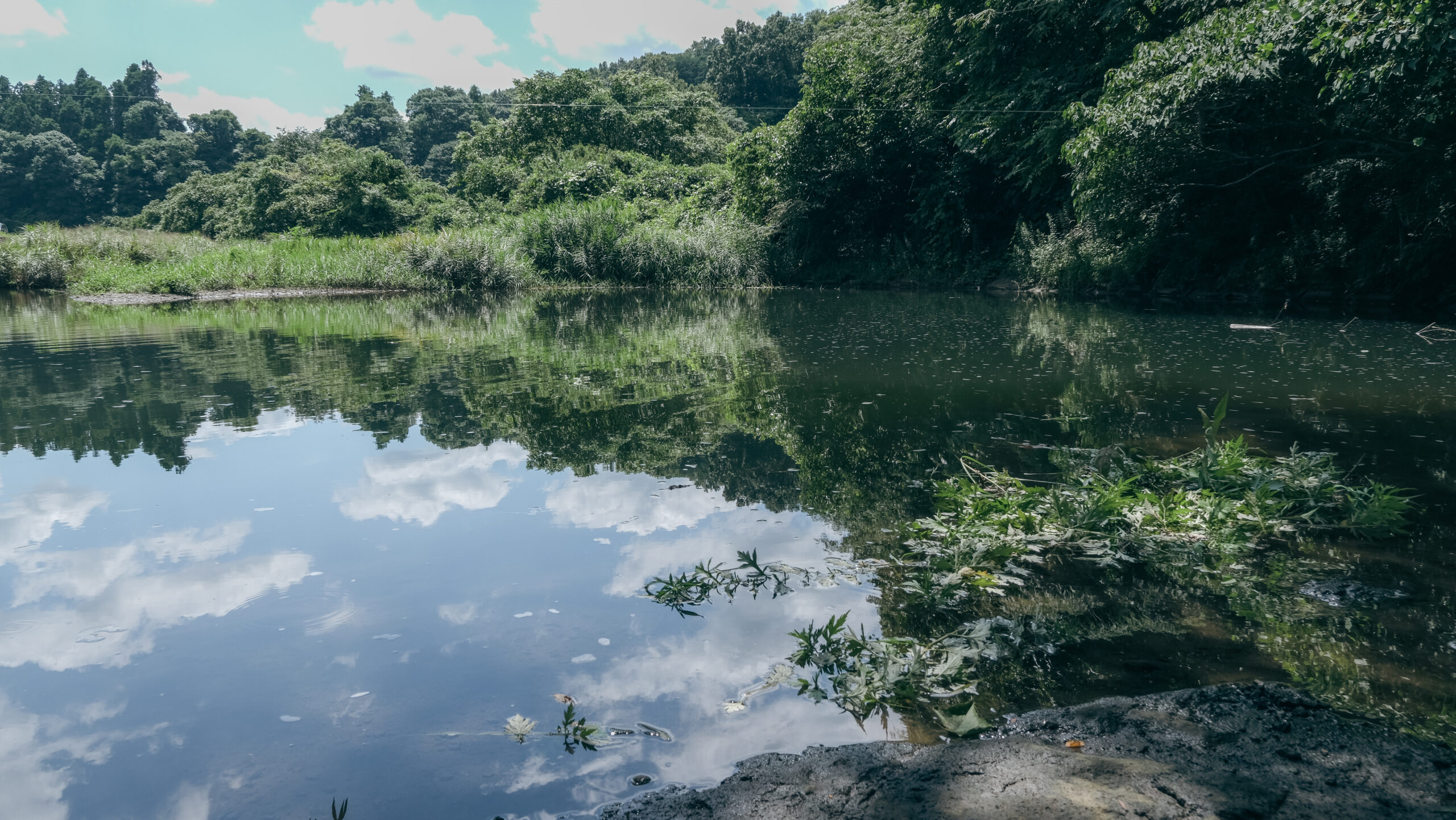 木須川洞門　穴場