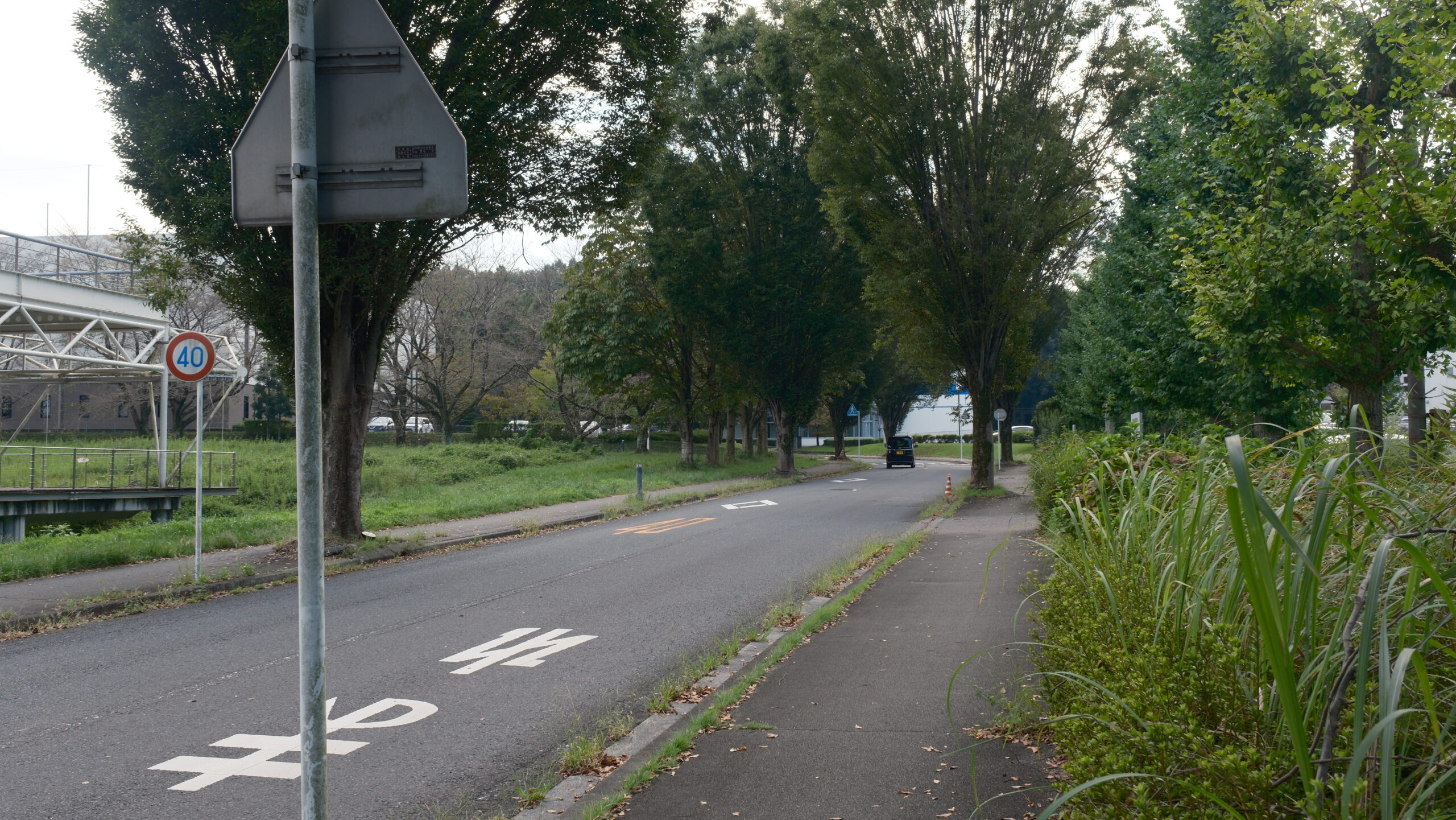 情報の森とちぎ　遊歩道