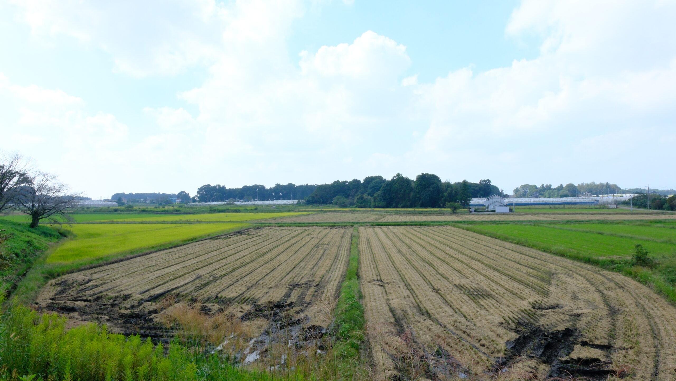 冨士山自然公園　田園風景