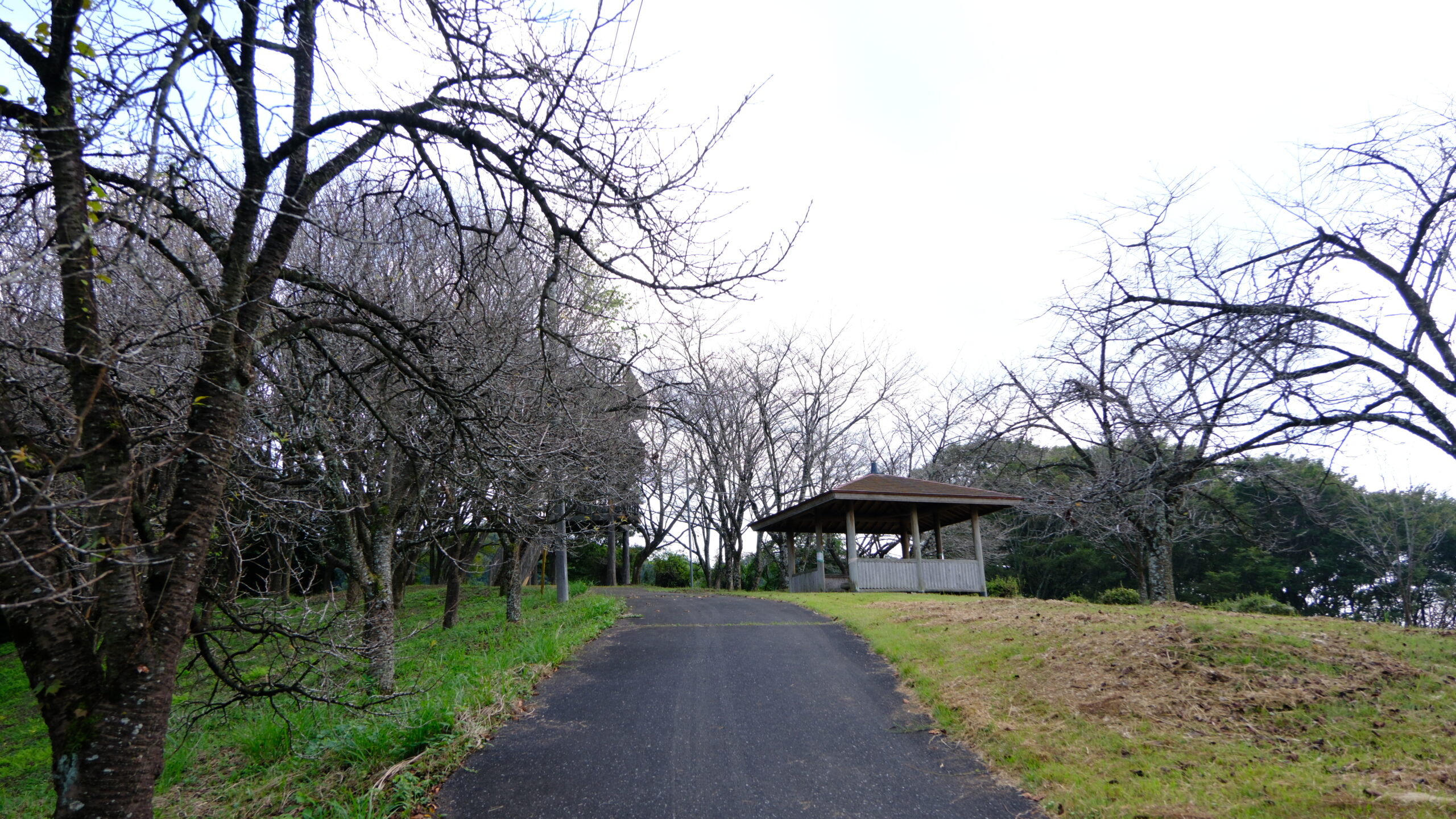 冨士山自然公園　展望台前