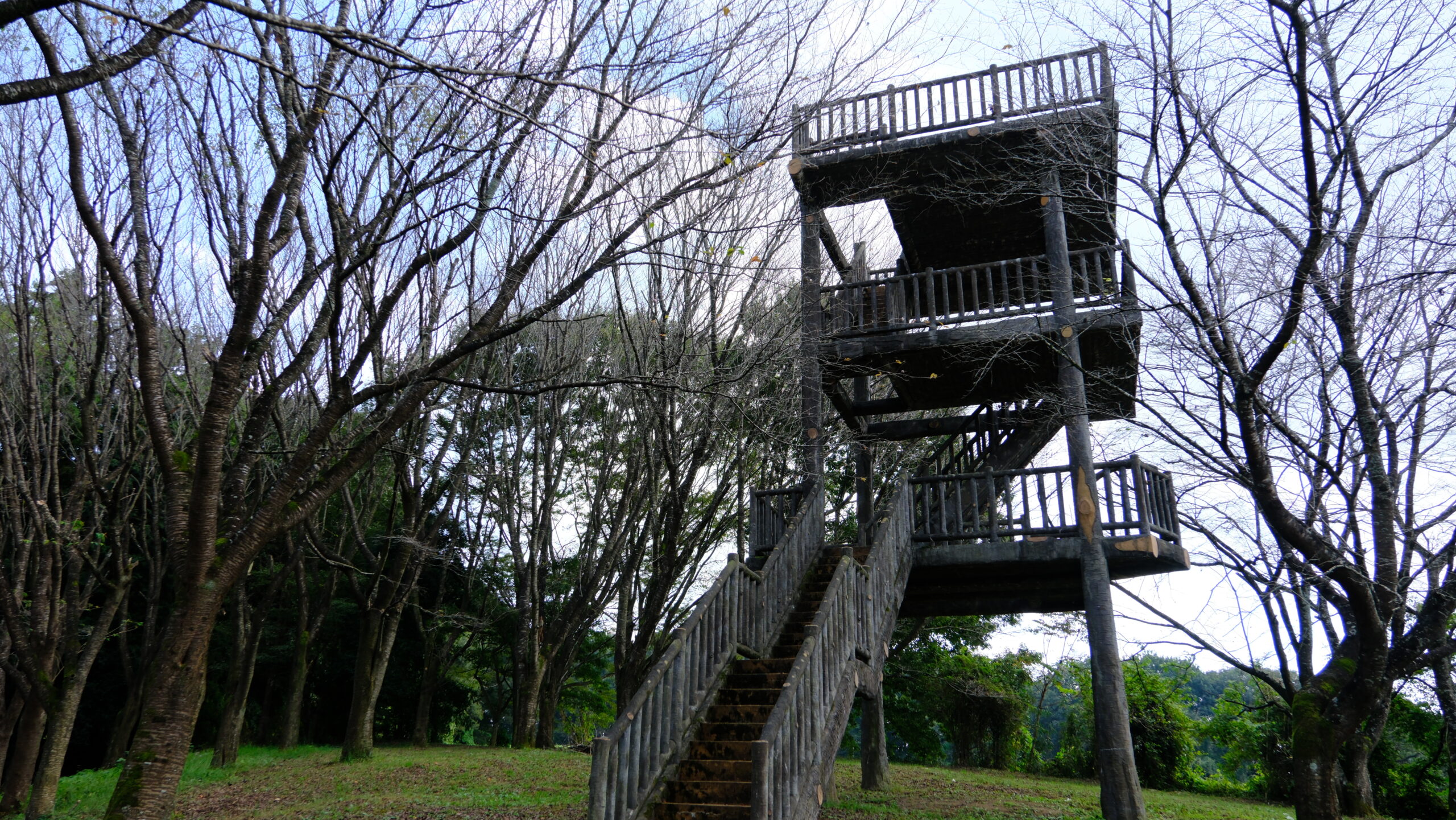 展望台　冨士山自然公園　