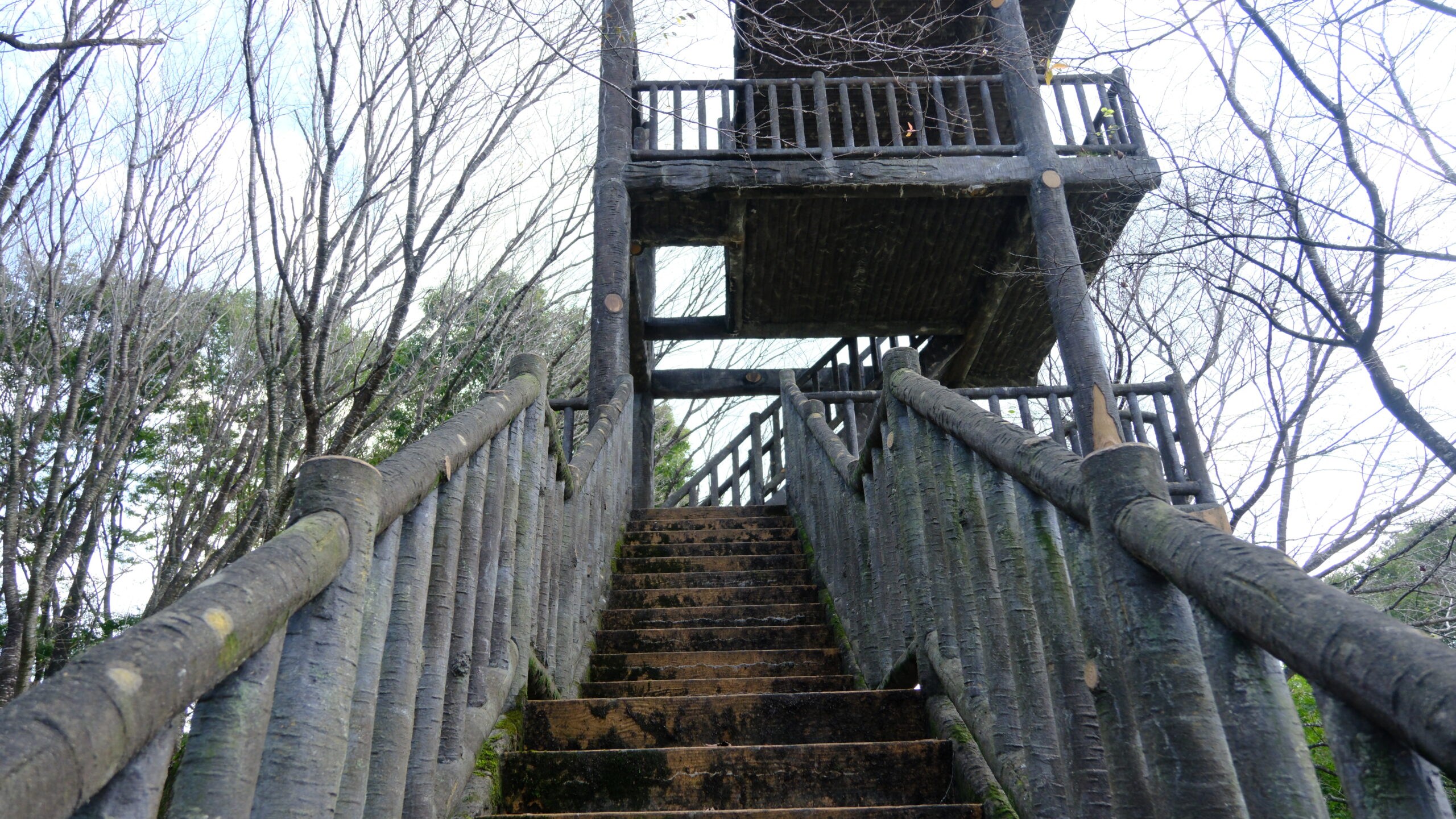 展望台　冨士山自然公園　　上り口