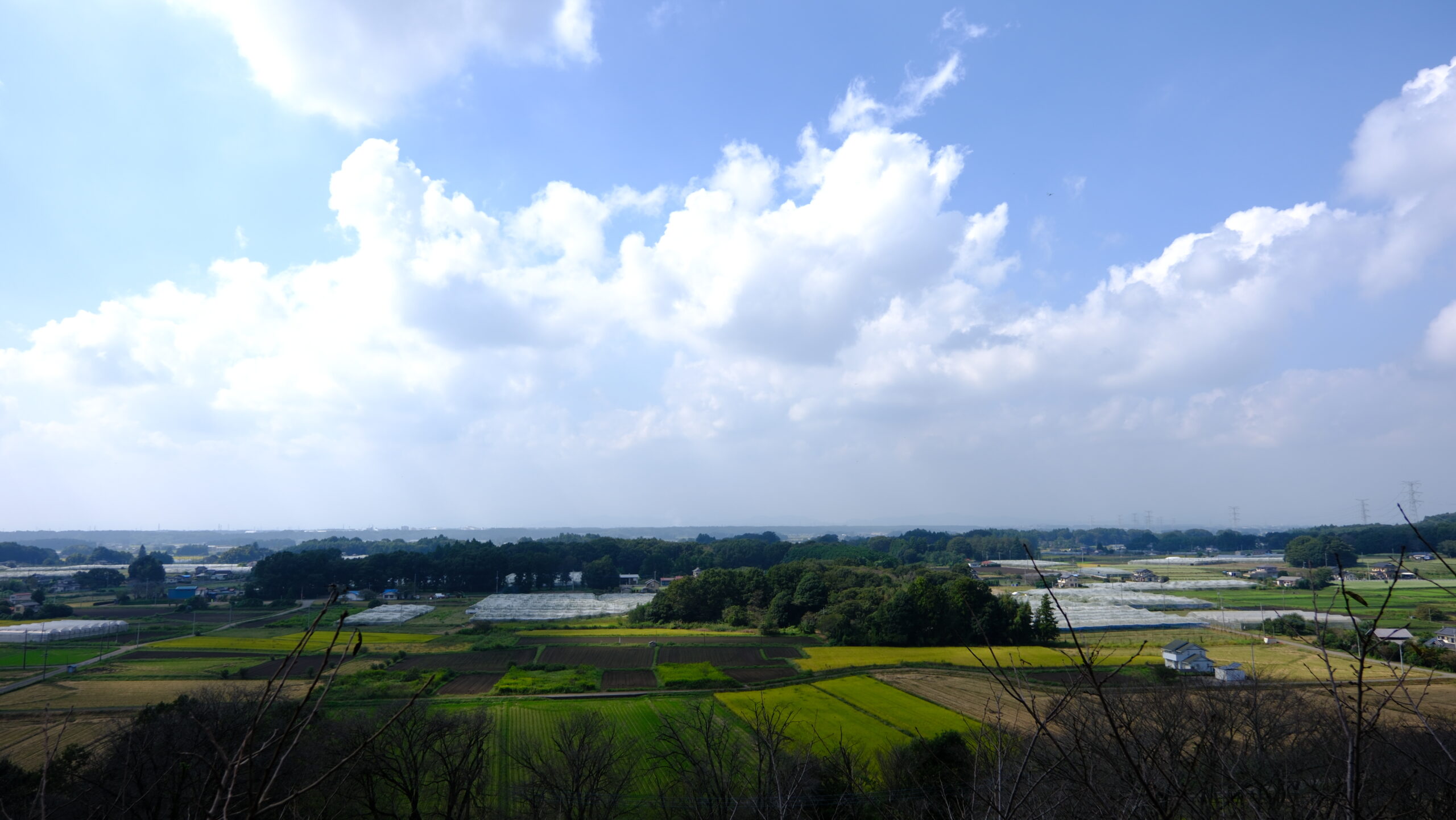 展望台　高根沢方面　冨士山自然公園　　