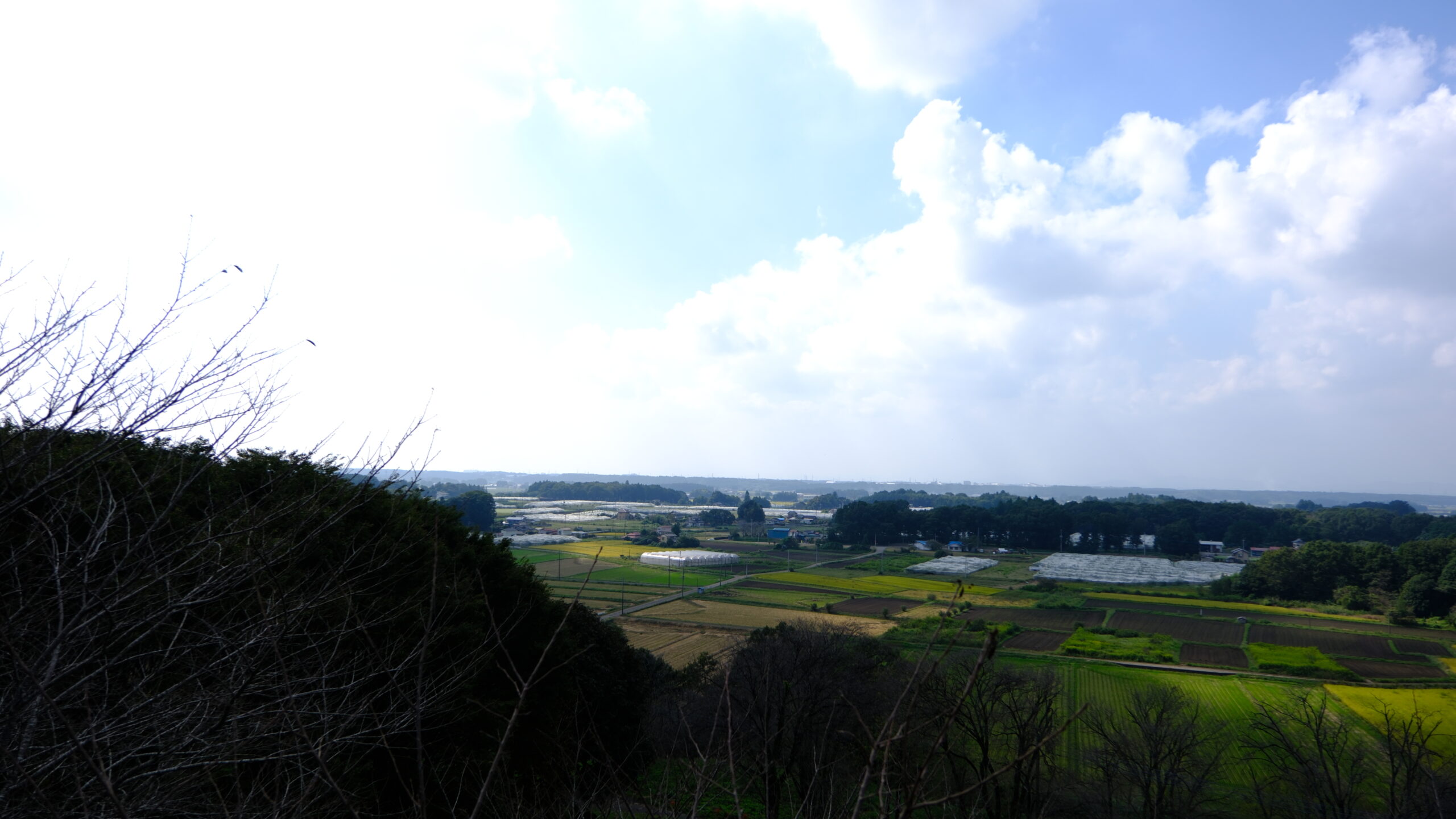 展望台　富士山方面　冨士山自然公園　