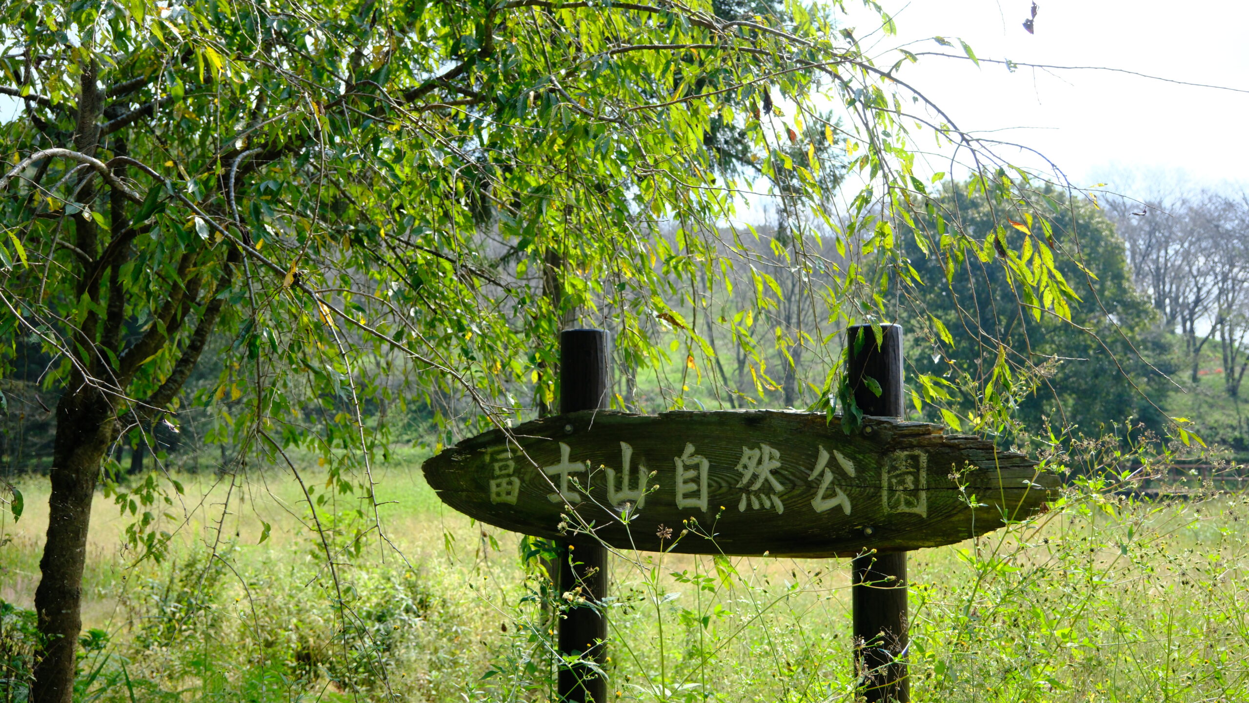 看板　入り口　冨士山自然公園　