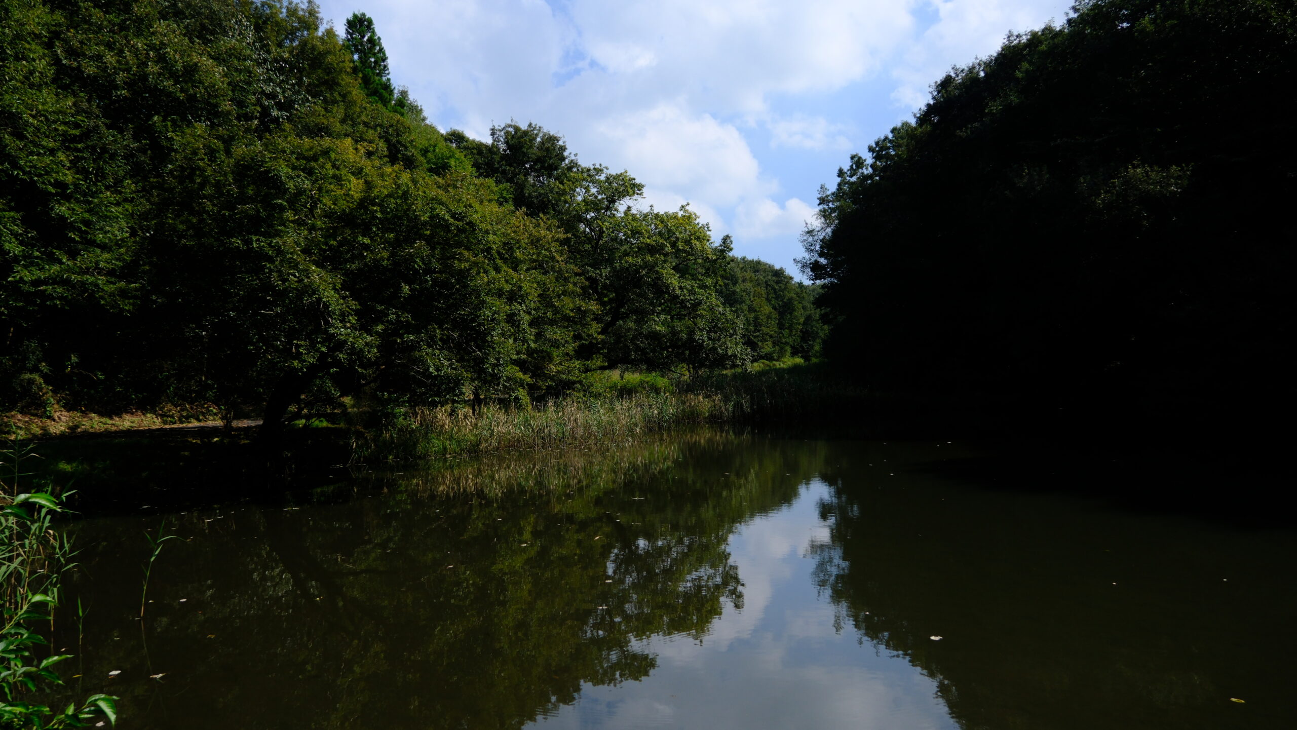 冨士山自然公園　ため池