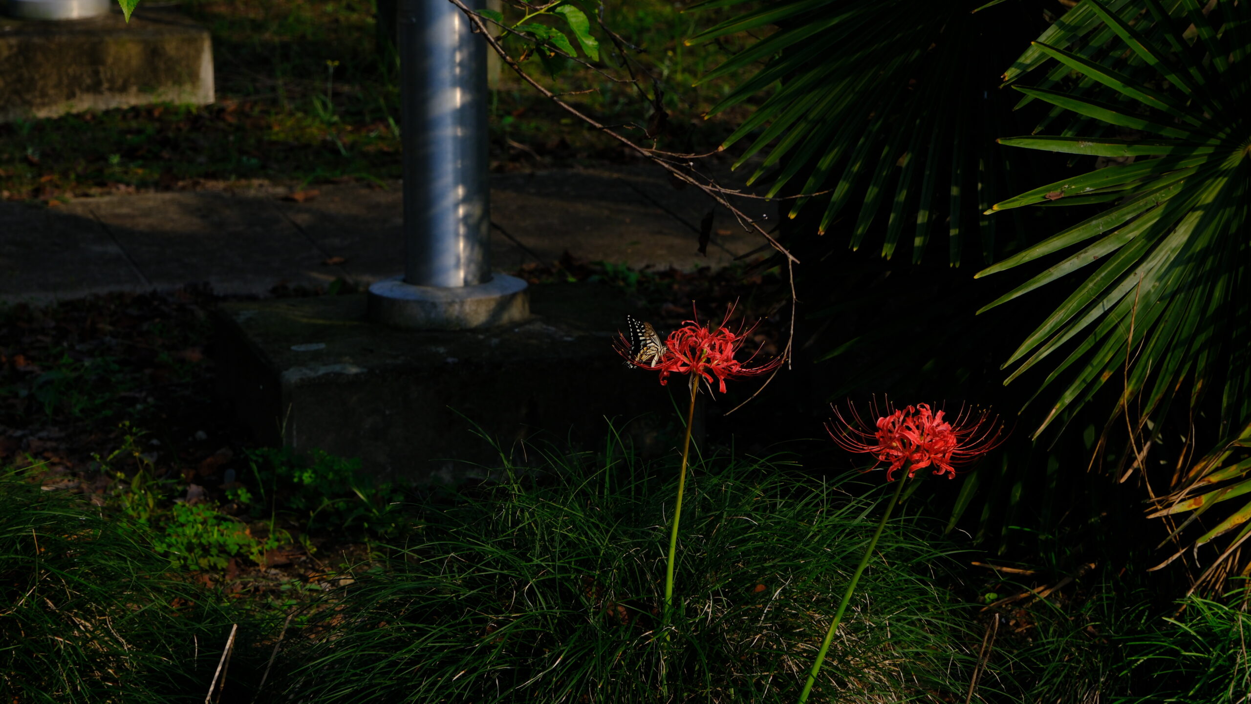 高龗神社　上三川町東汗　駐車場