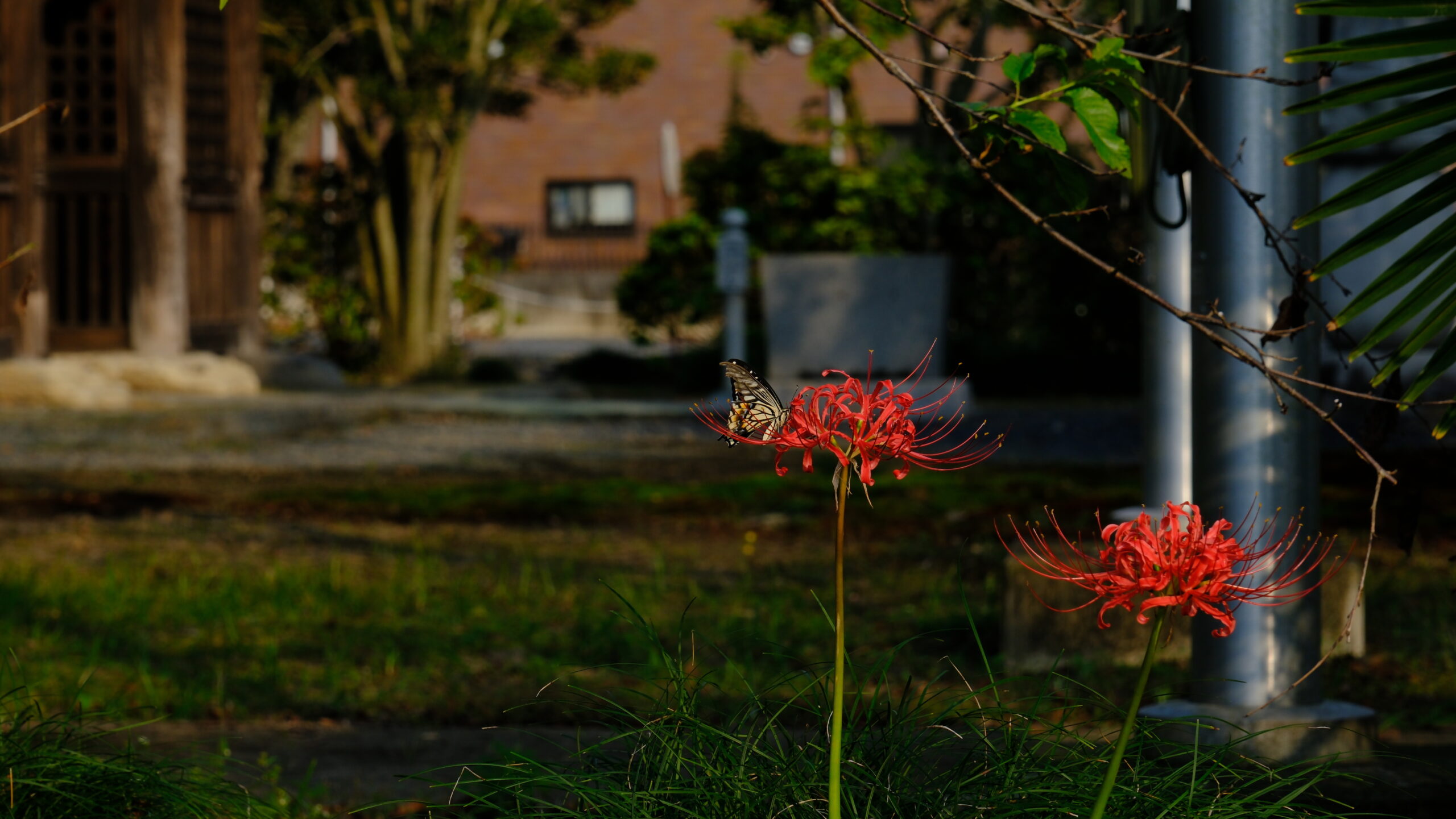 高龗神社　上三川町東汗　駐車場